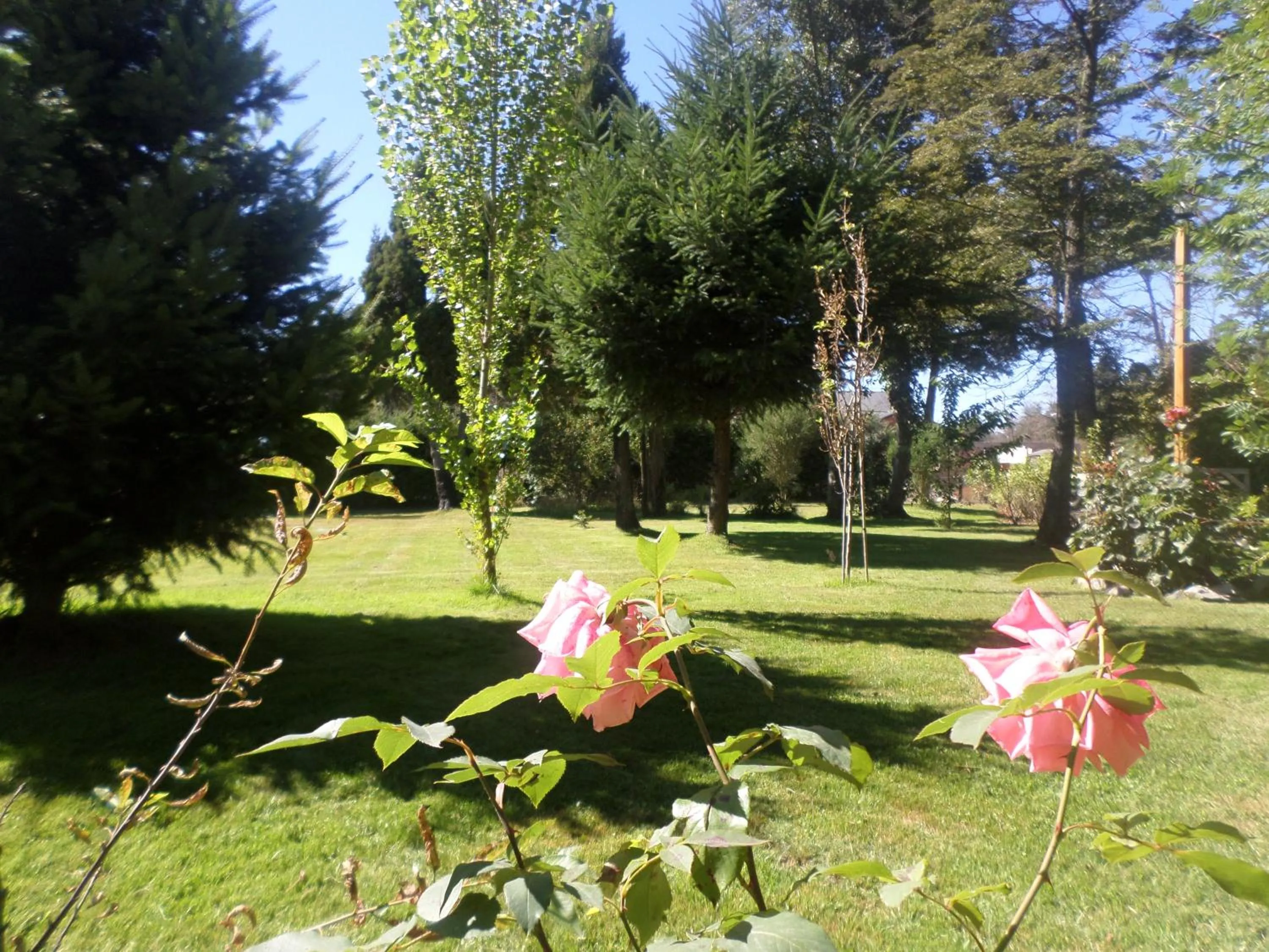 Garden in Hostería Bajo Cero