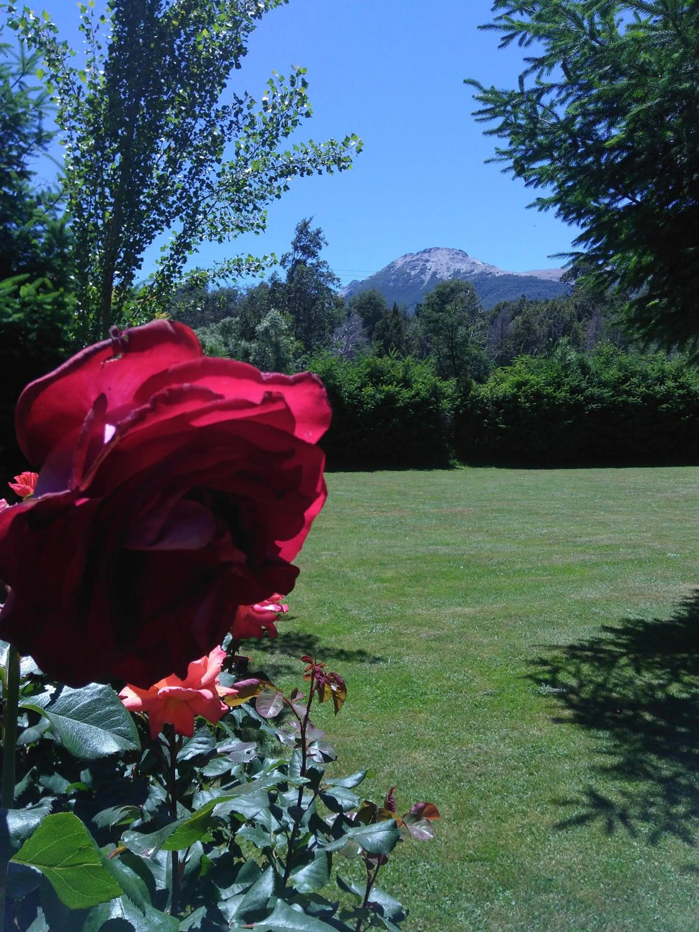 Garden in Hostería Bajo Cero
