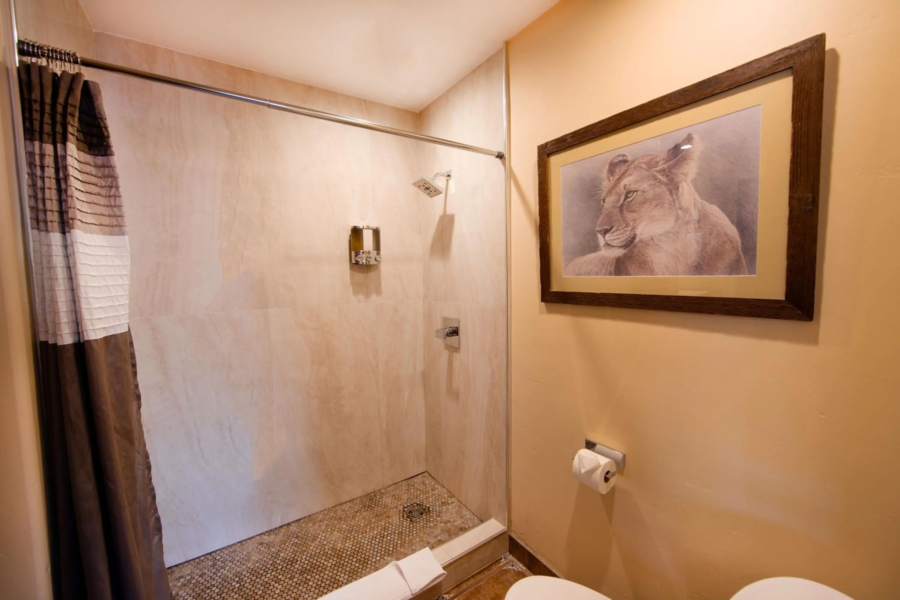 Shower in A Sunset Chateau