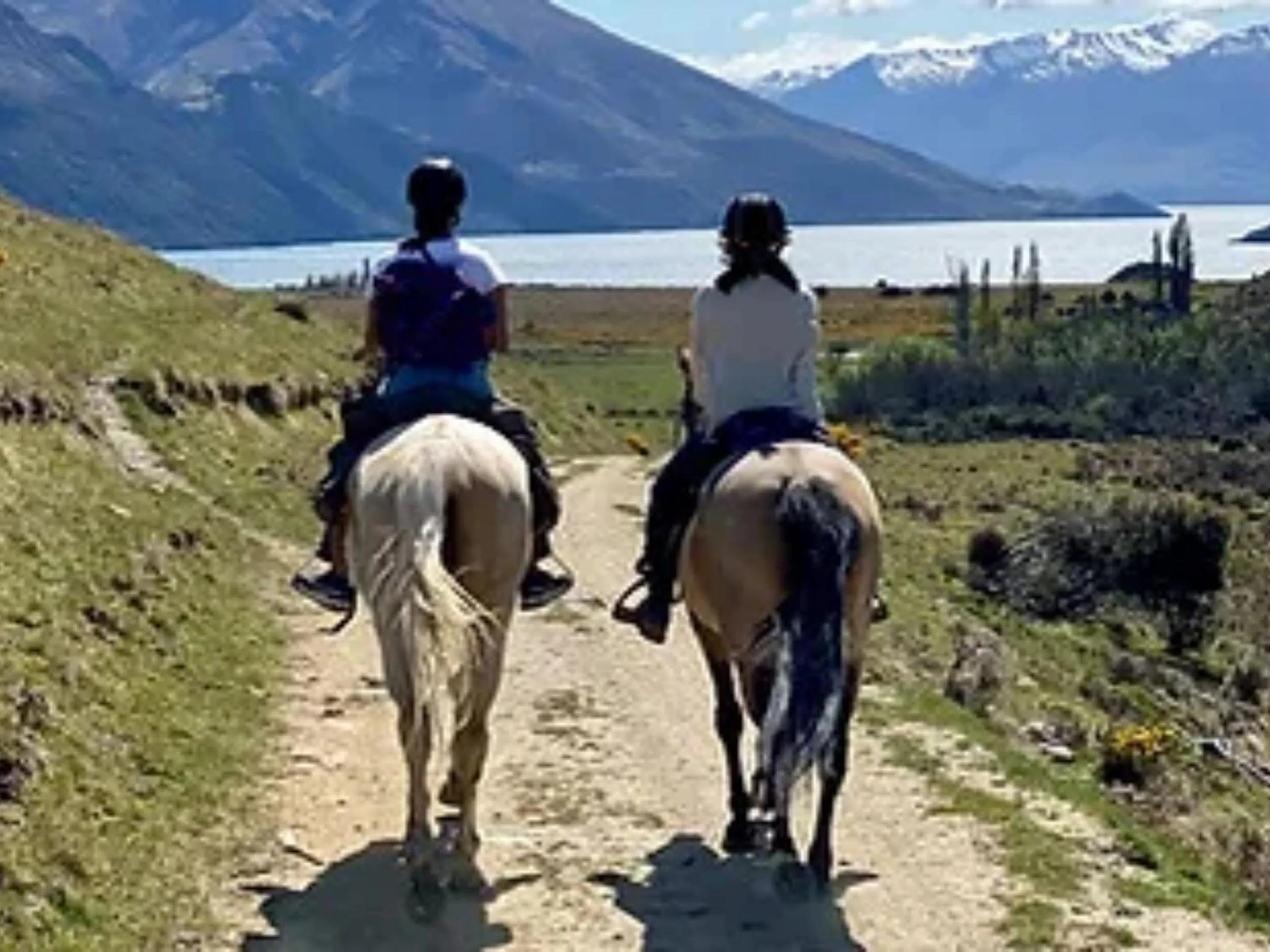 Horse-riding in Wanaka Springs Lodge