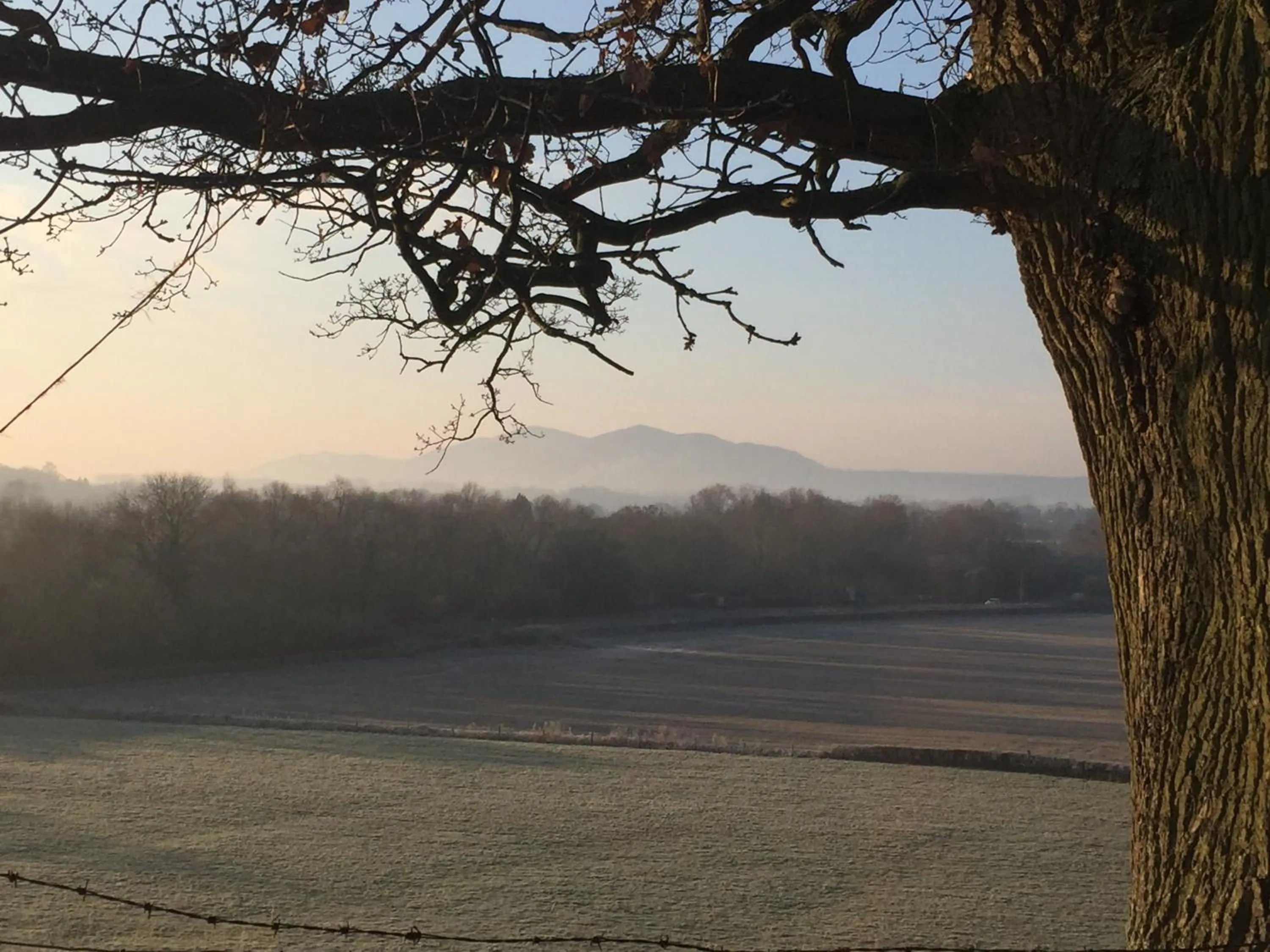 Natural landscape in The Bell Inn
