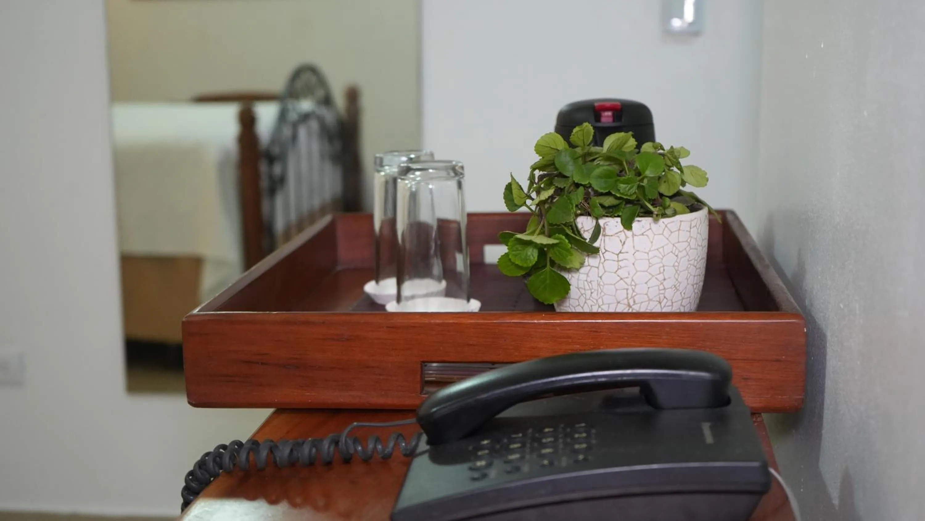 Other in Hotel Casa del Arbol