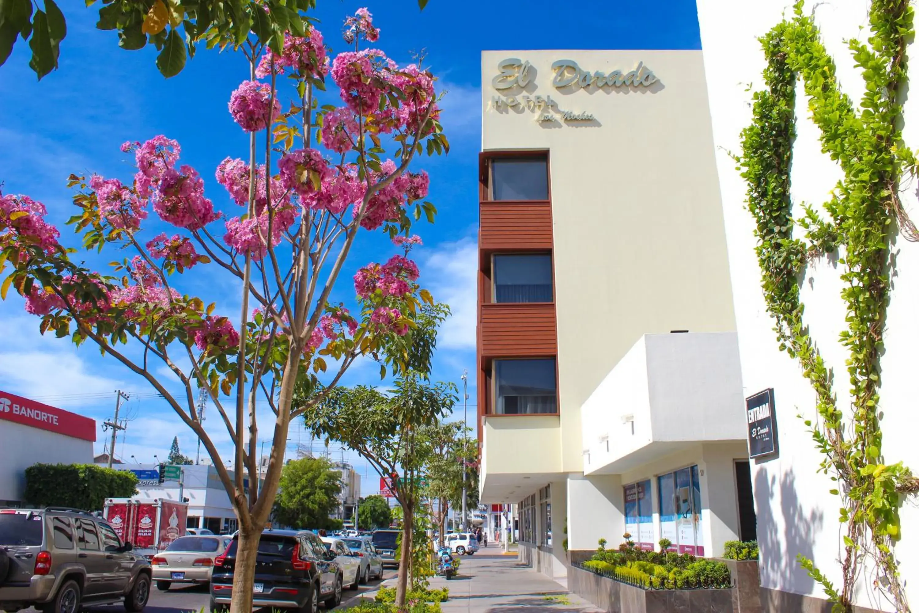 Property building in El Dorado Property building in El Dorado