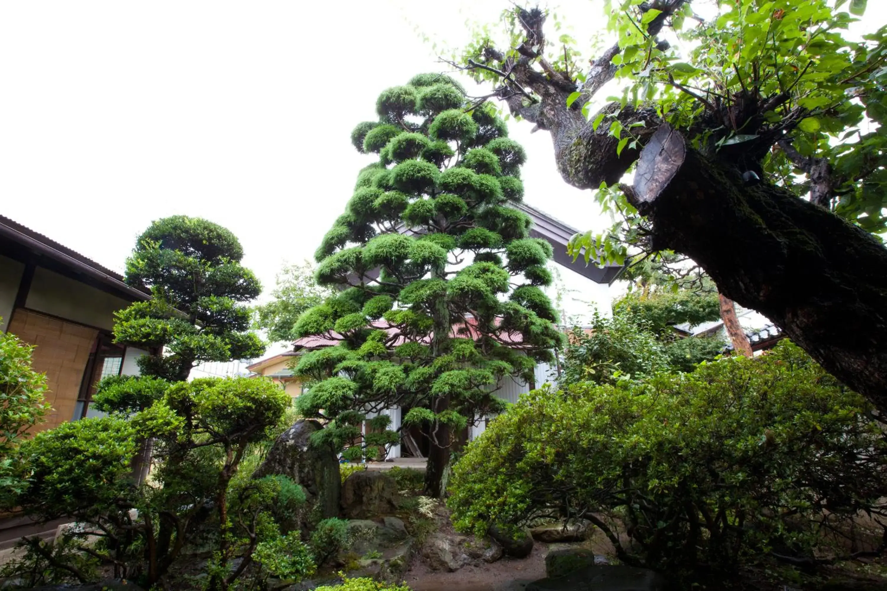 Garden in Guest House Kura