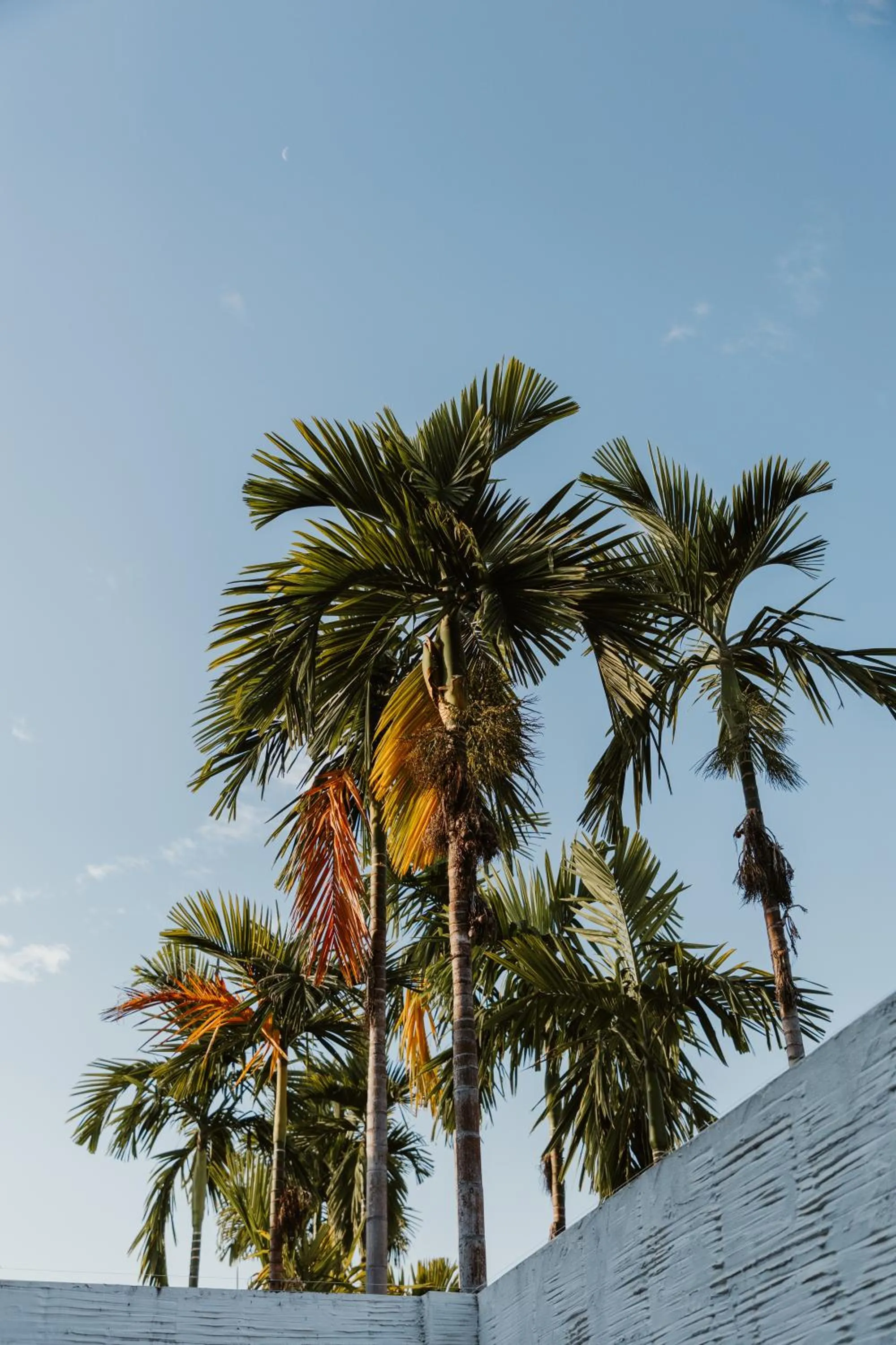 Property building in Arun Dara Villa