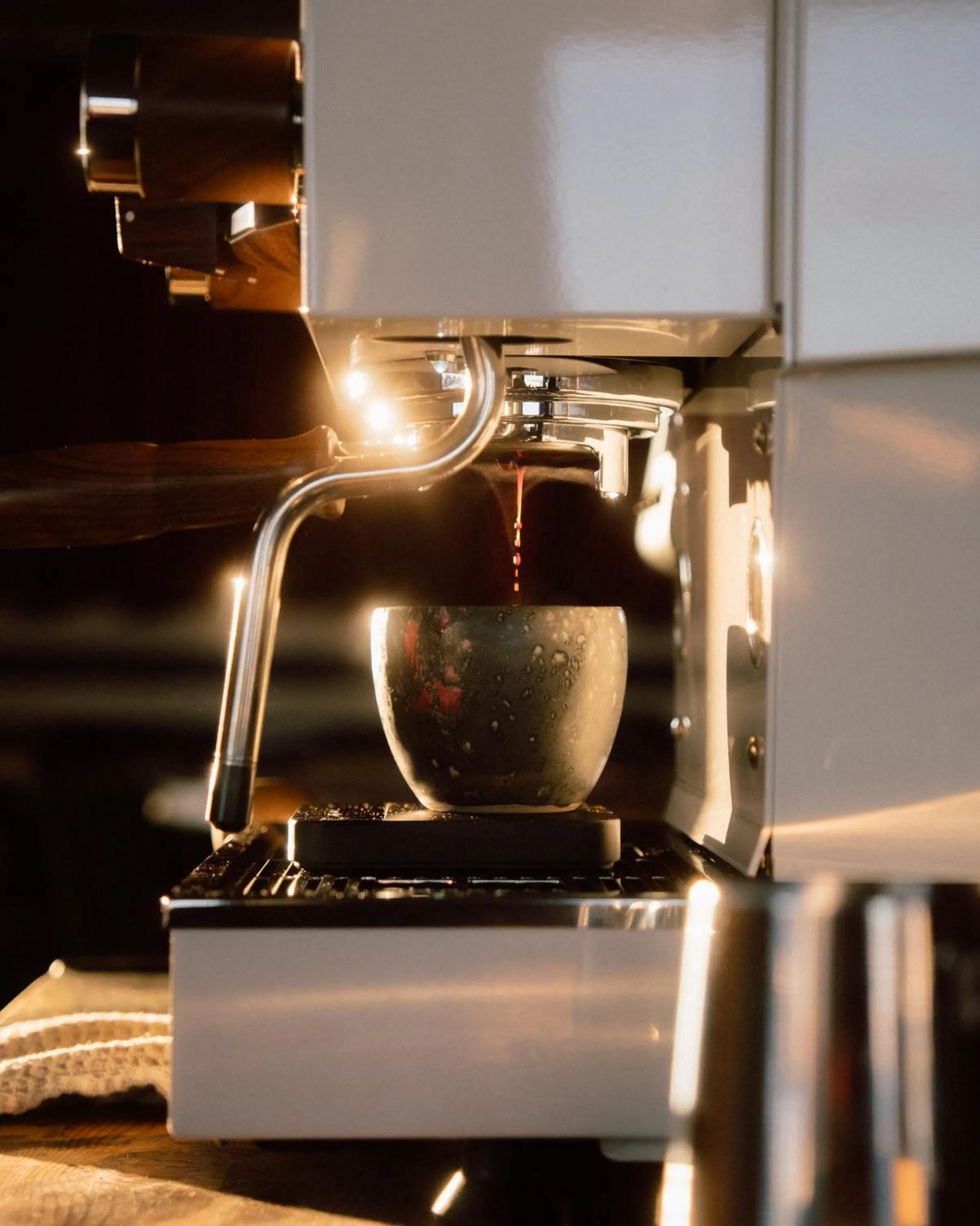 Solsiden Brygge Rorbuer