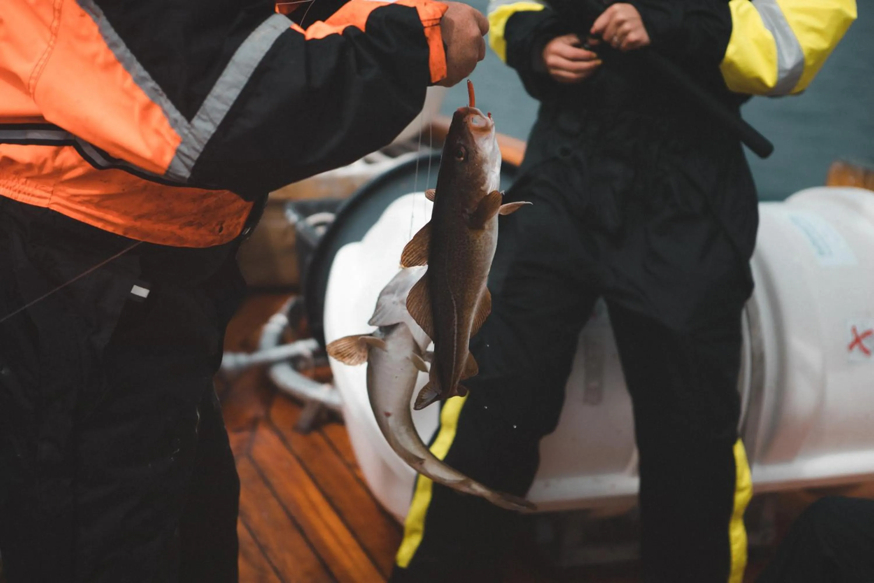 Activities in Solsiden Brygge Rorbuer