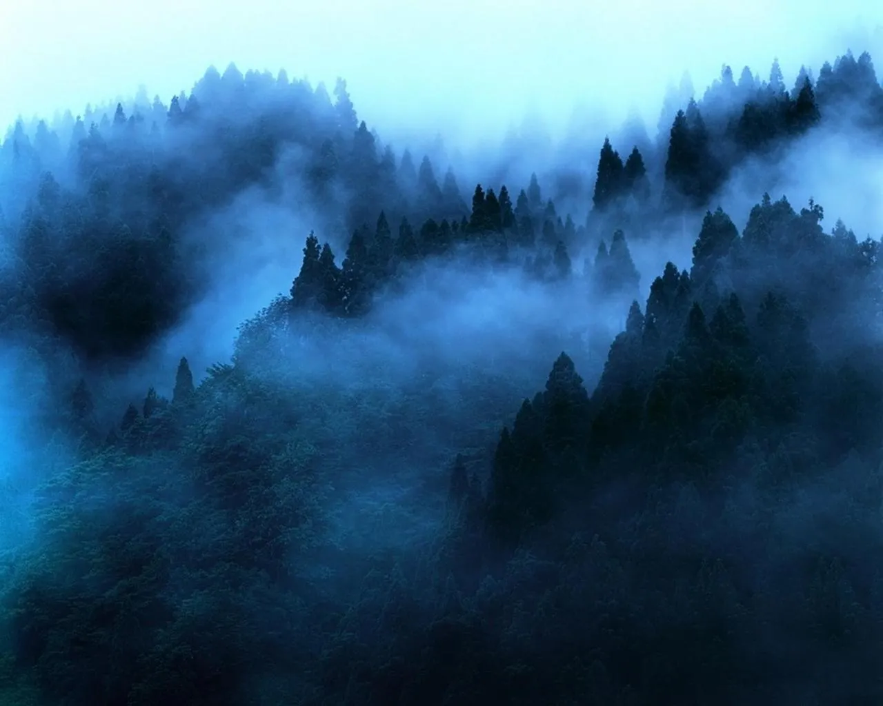 "Mount'n mist"
