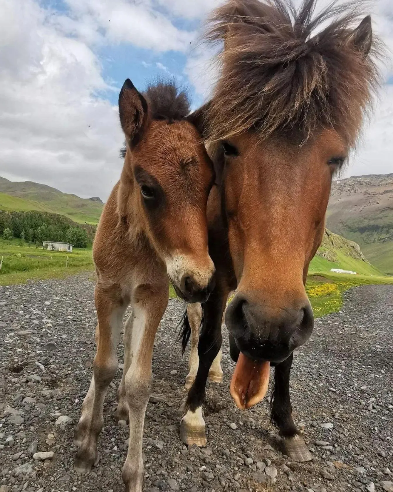 Property building in Boutique Hotel Anna by EJ Hotels