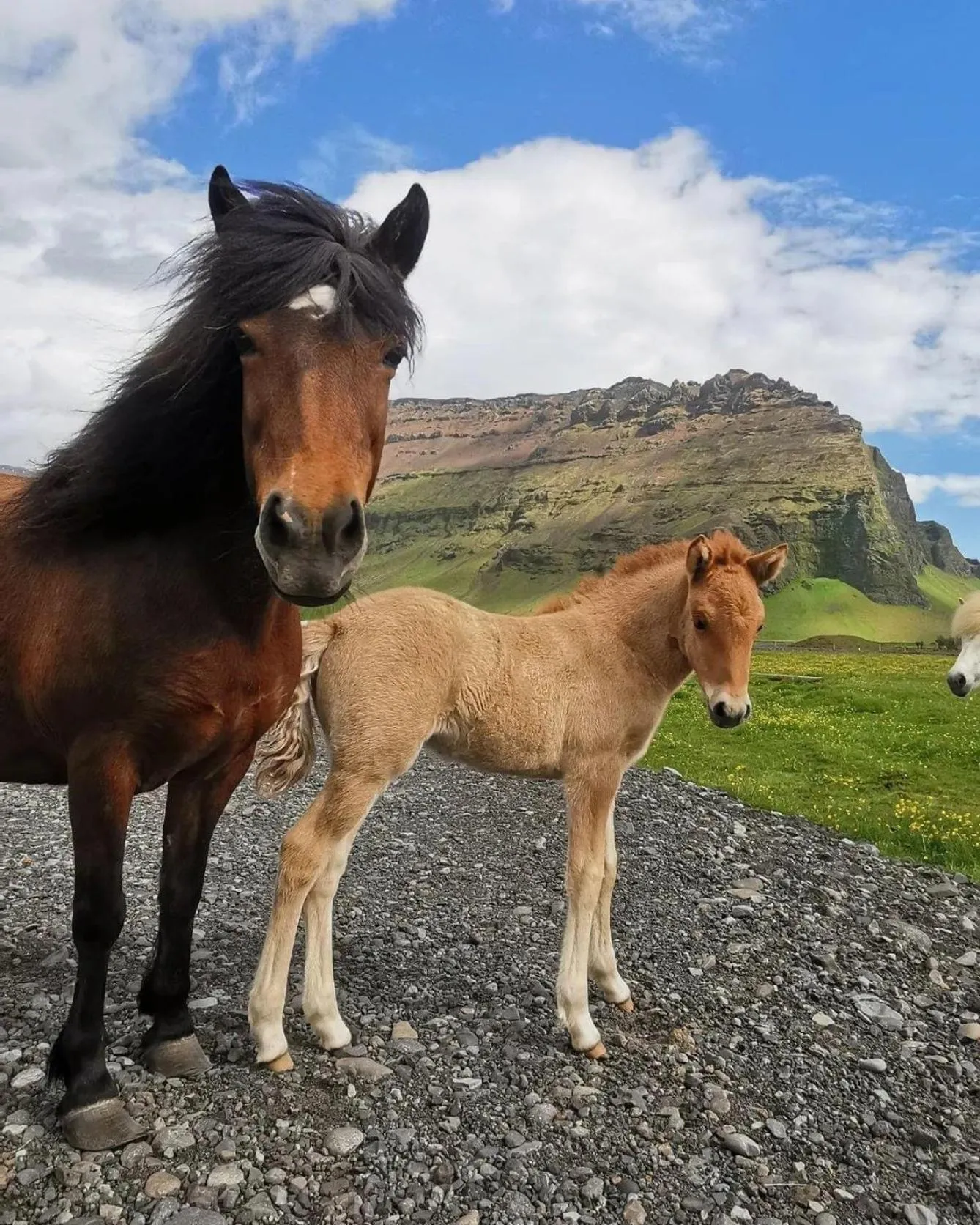 Property building in Boutique Hotel Anna by EJ Hotels