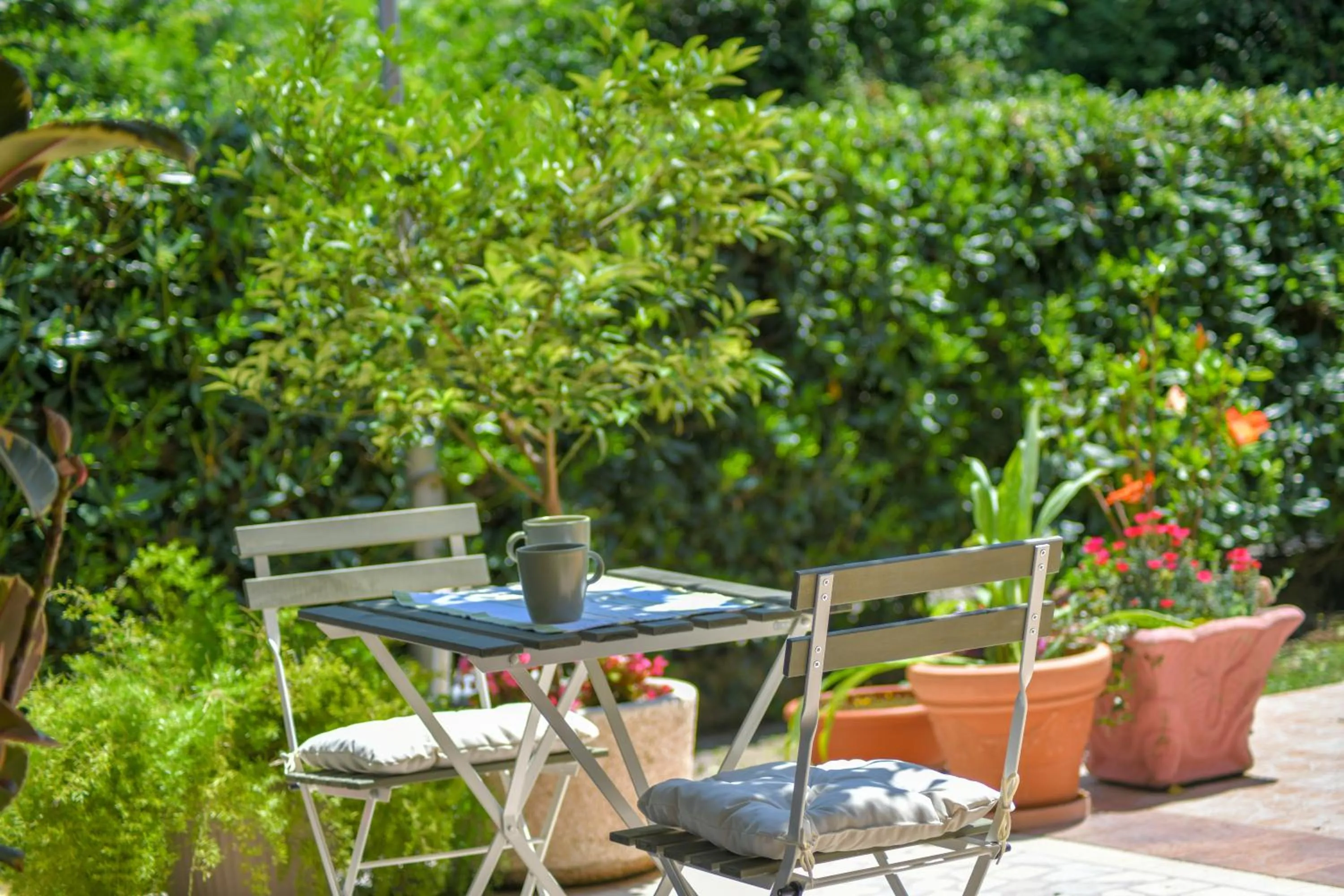 Garden in Apartments Elena