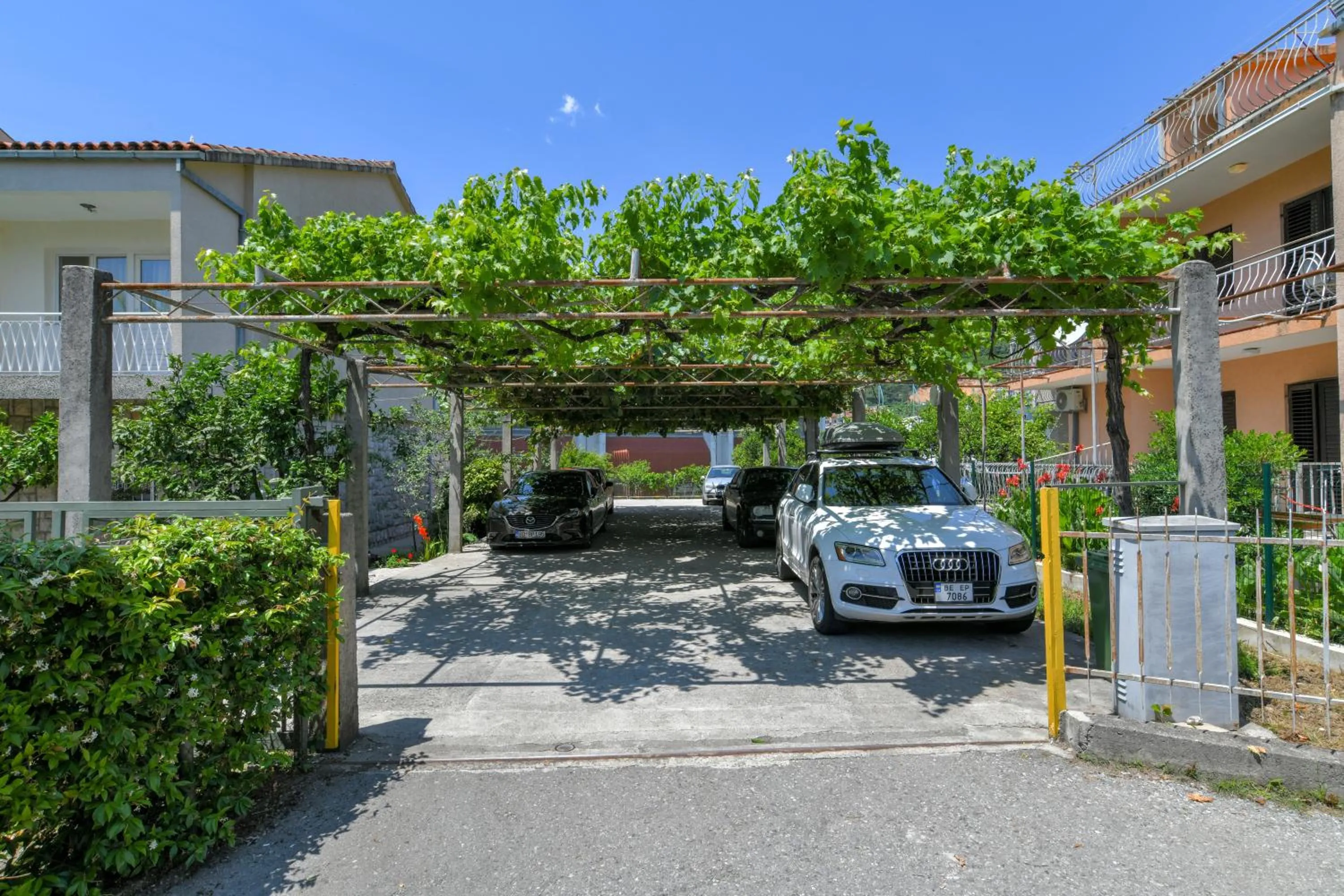 Property building in Apartments Elena