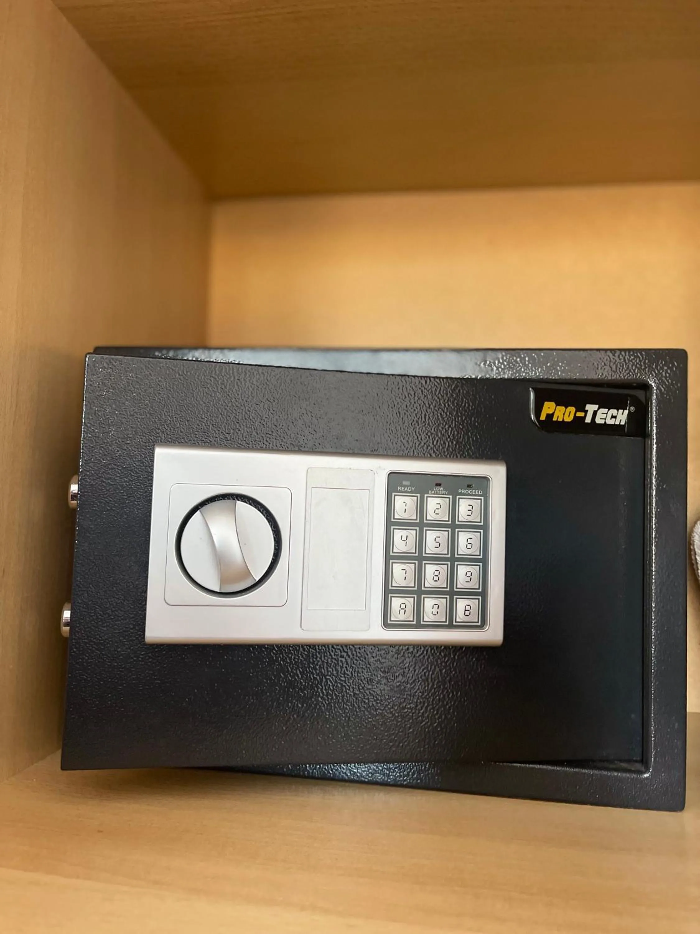 safe in Apartments Elena