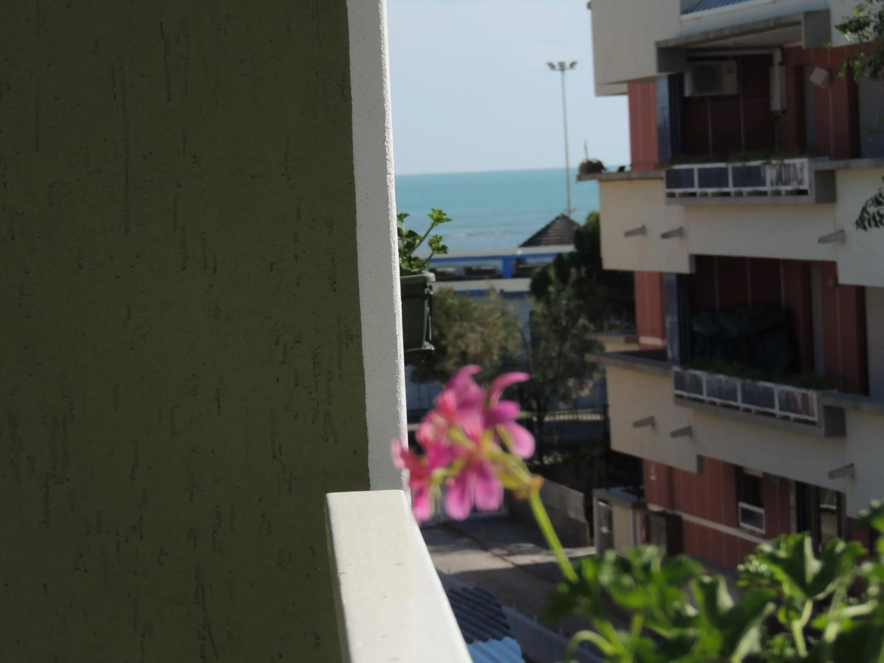 Balcony/Terrace in Hotel ai Fiori