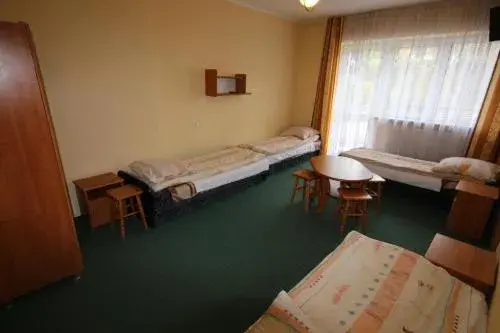 Triple Room in Dom Wypoczynkowy Tulipan Triple Room in Dom Wypoczynkowy Tulipan