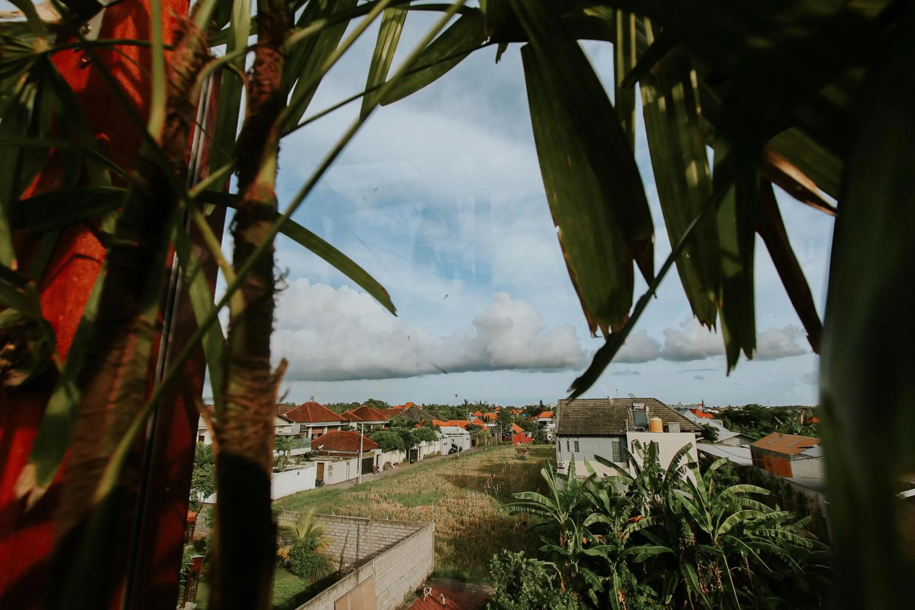 Garden view in BRAW inn Canggu by kamara