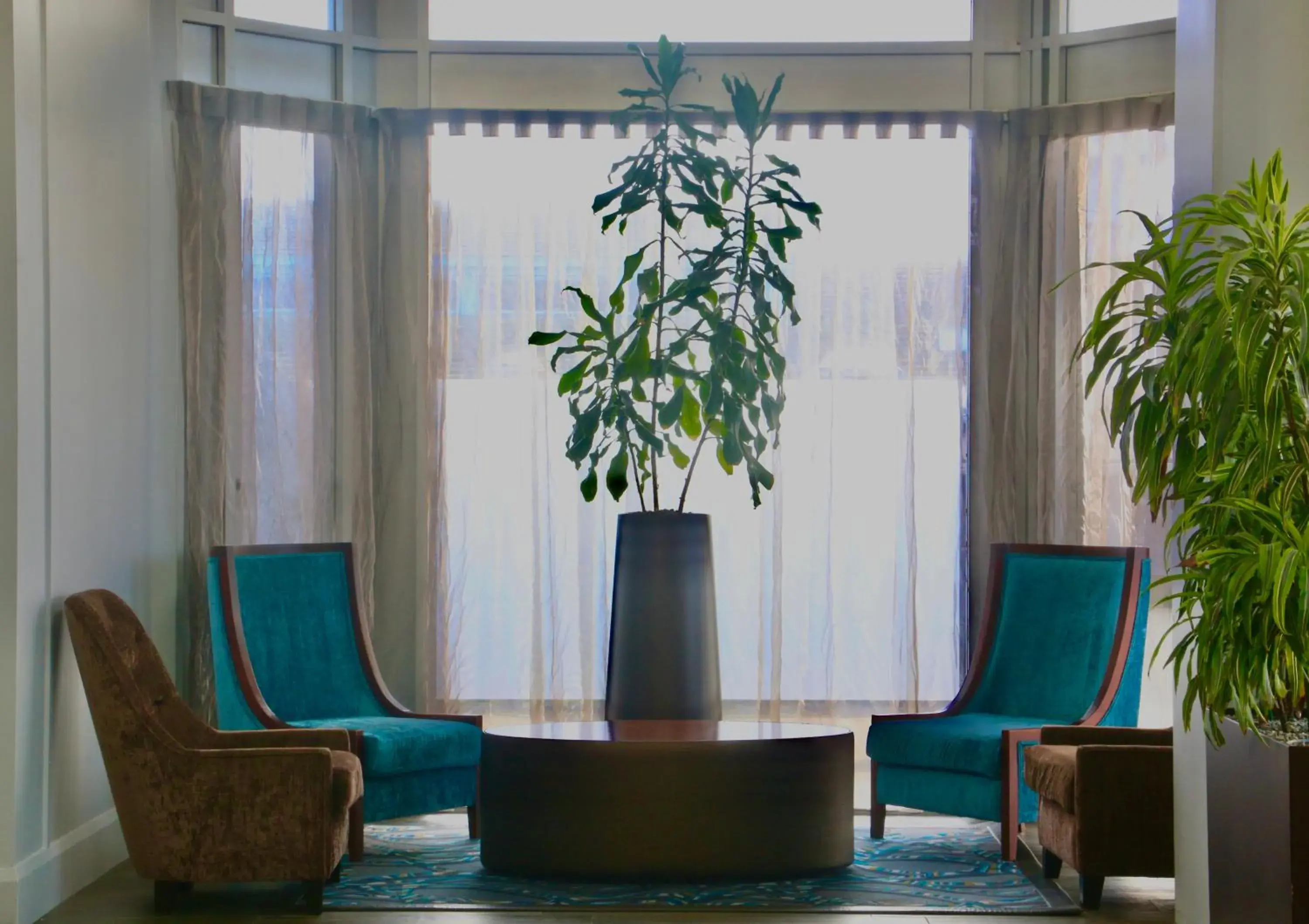 Lobby or reception in Copthorne Hotel Palmerston North Lobby or reception in Copthorne Hotel Palmerston North