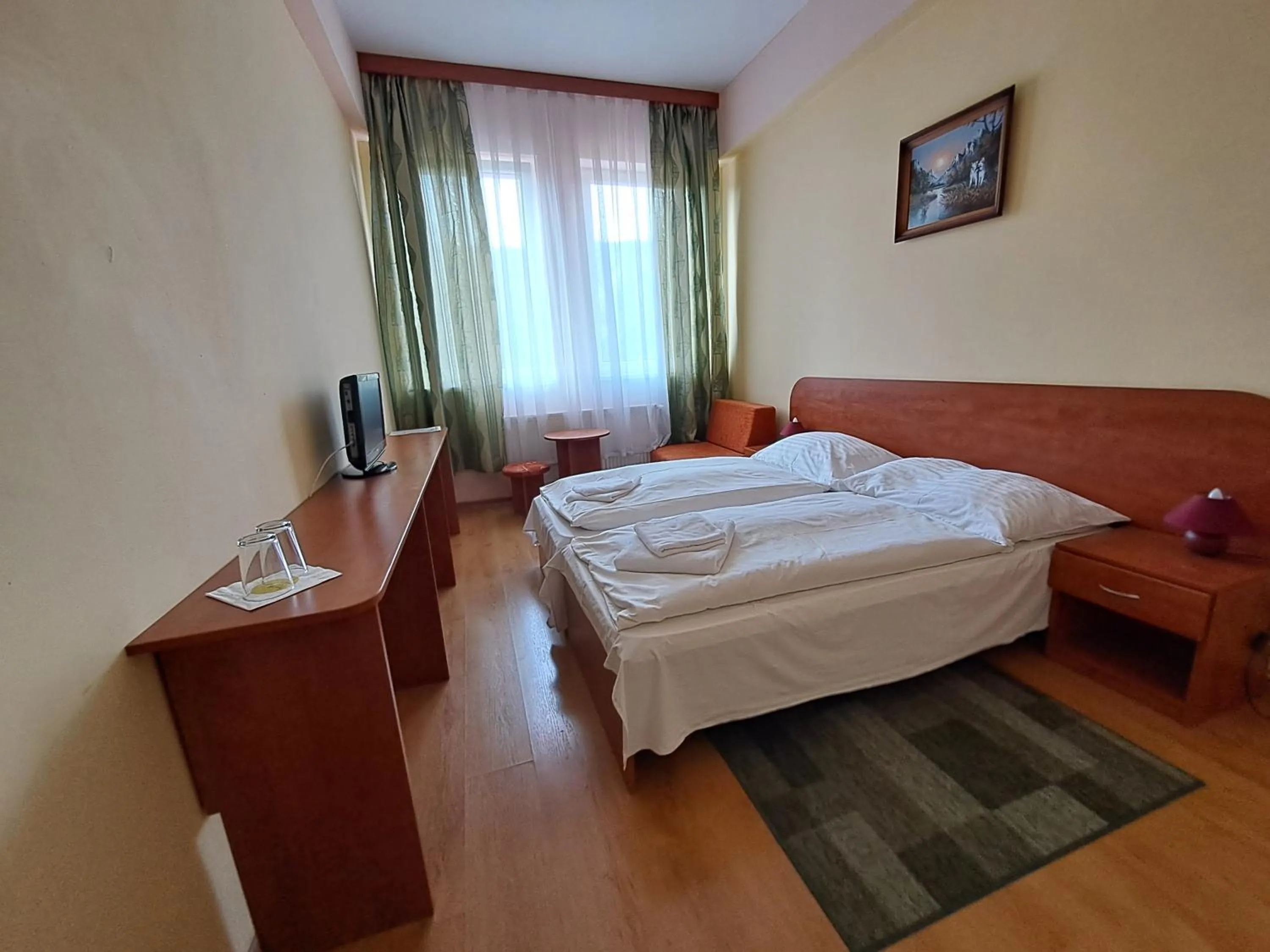 Living room, Bed in Penzion Zornicka