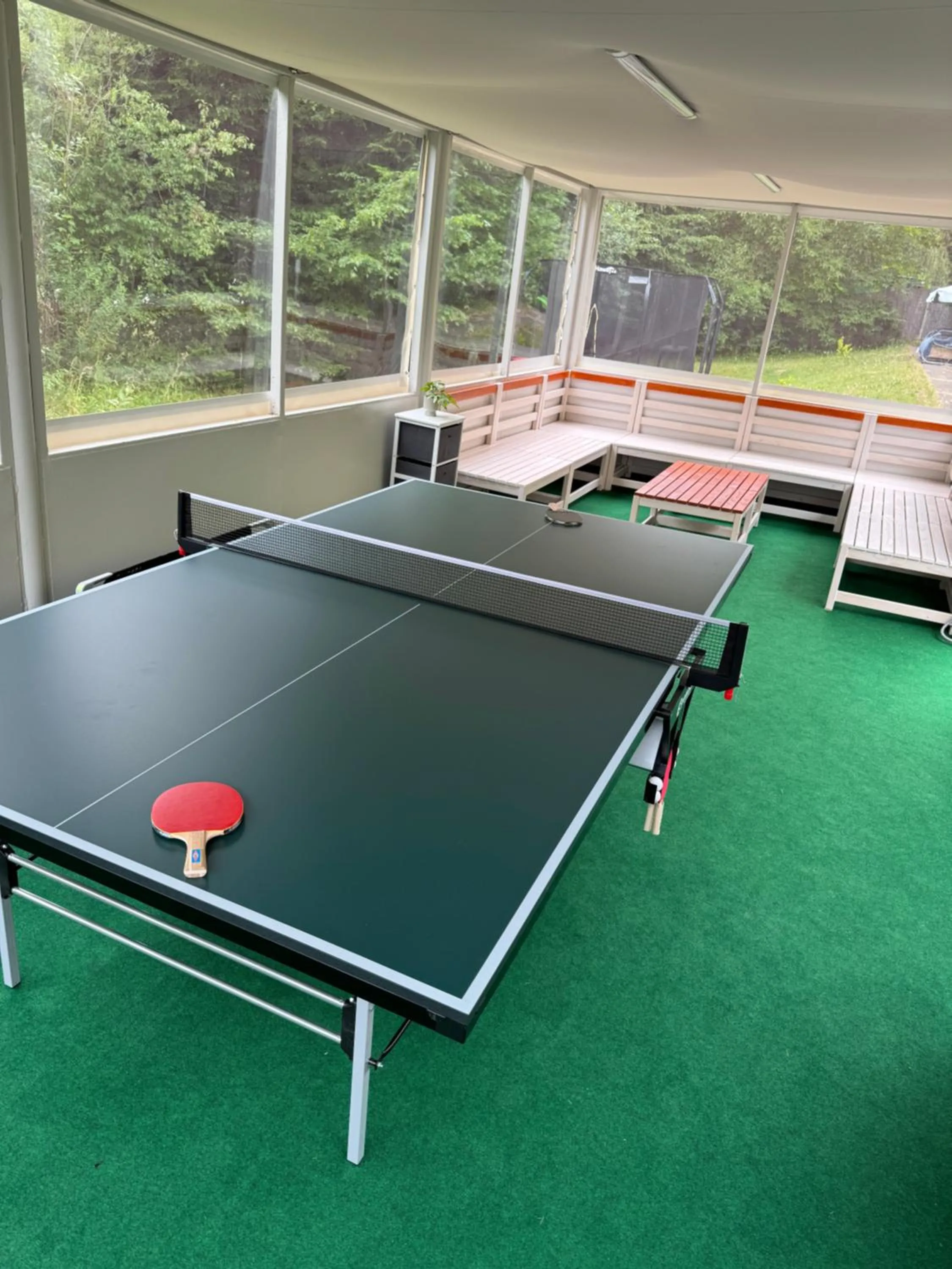 Game Room in Penzion Zornicka