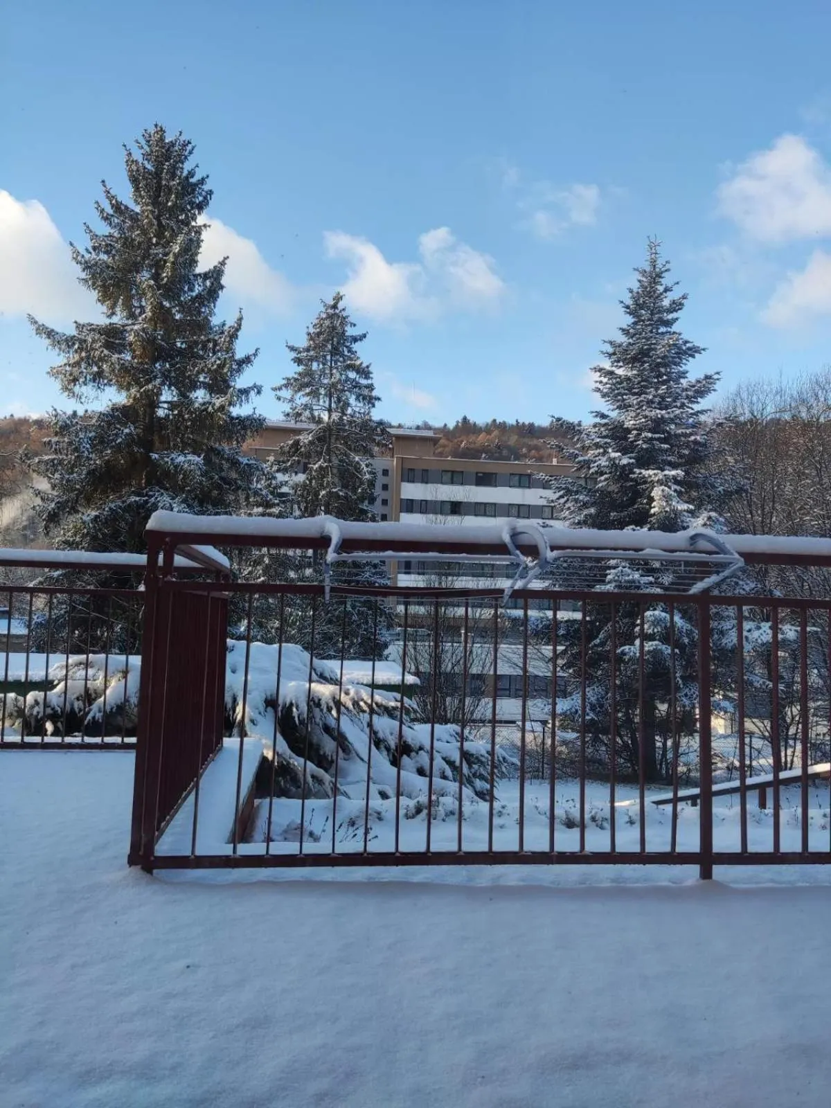 Day in Penzion Zornicka