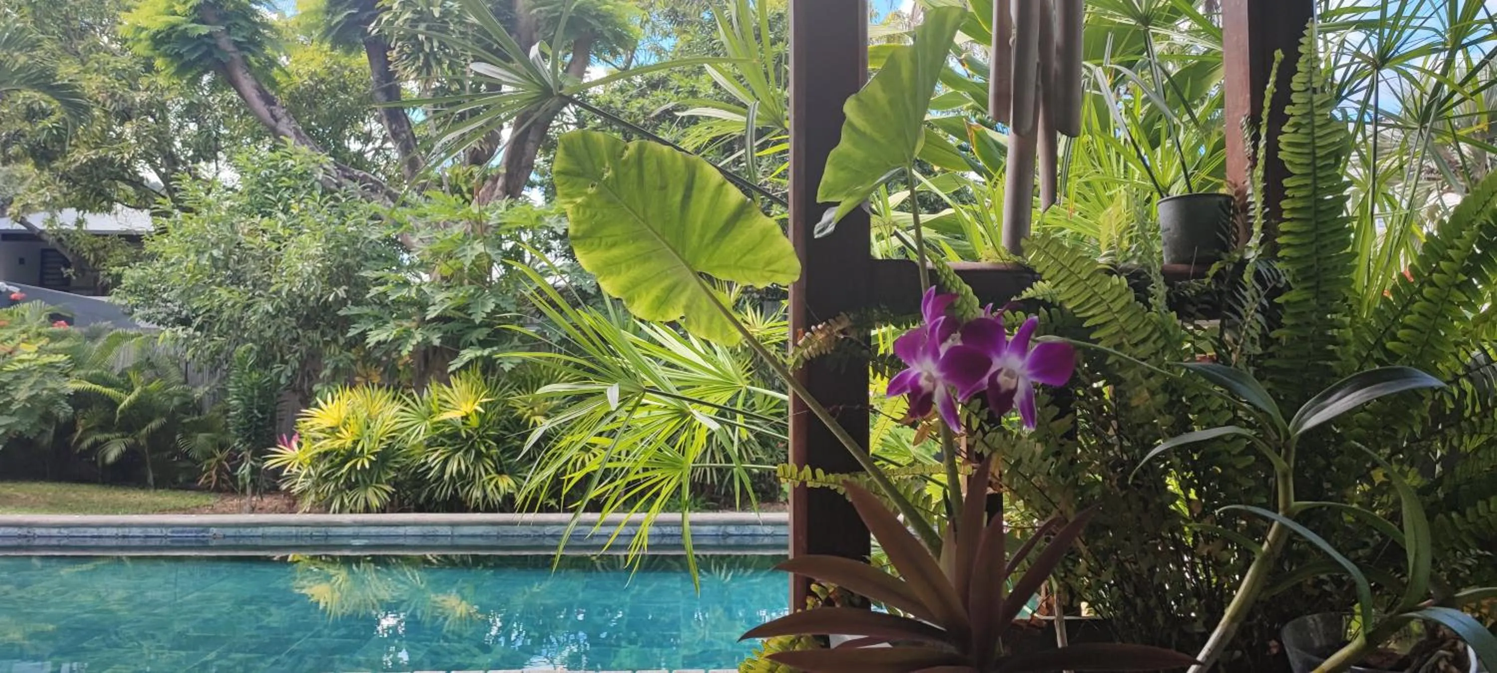 Pool view in SWEET ISLAND petit dejeuner inclus