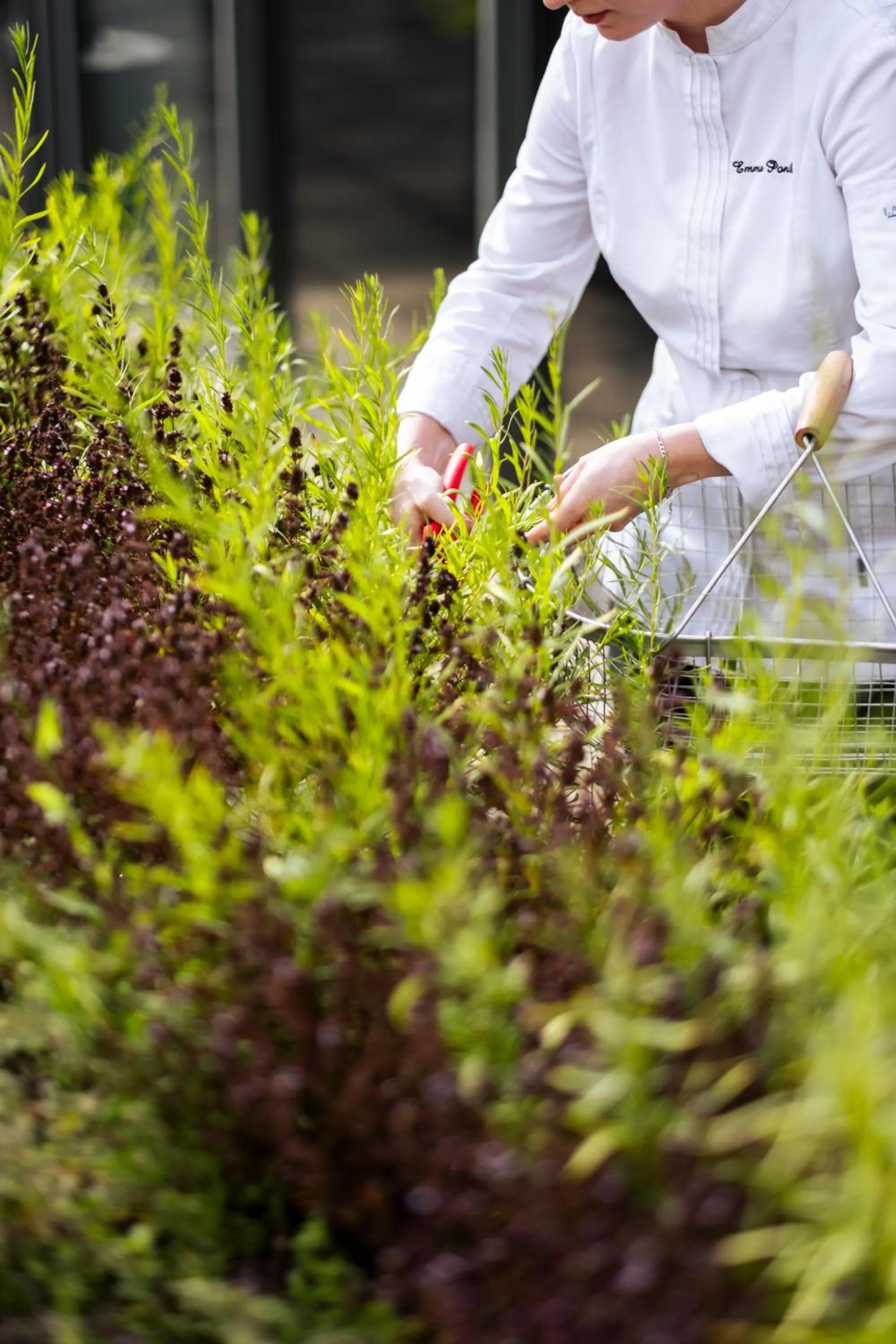 Restaurant/places to eat in Mercure Villefranche-sur-Saône