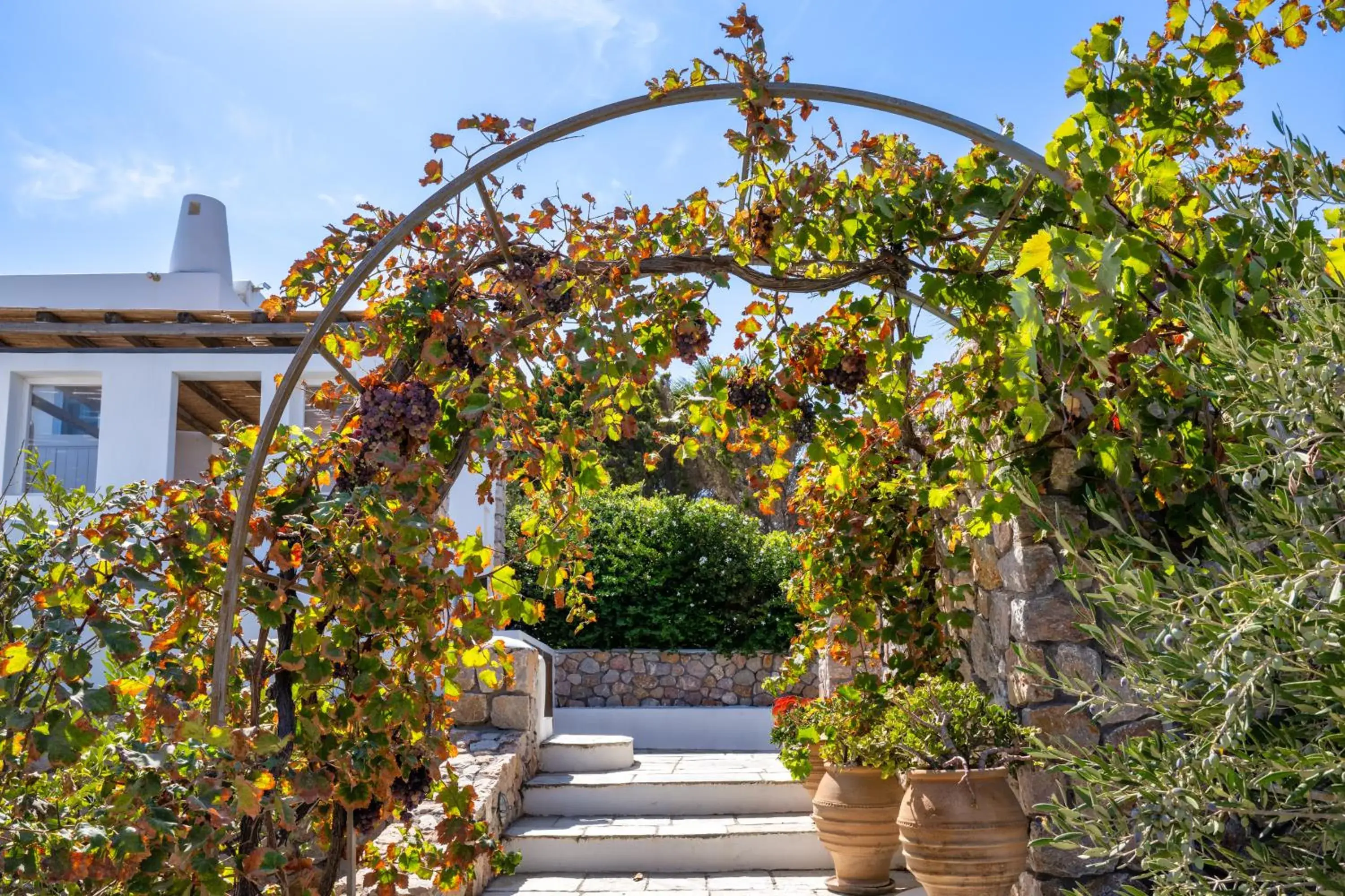 Property building in Anema Boutique Hotel & Villas Santorini Property building in Anema Boutique Hotel & Villas Santorini