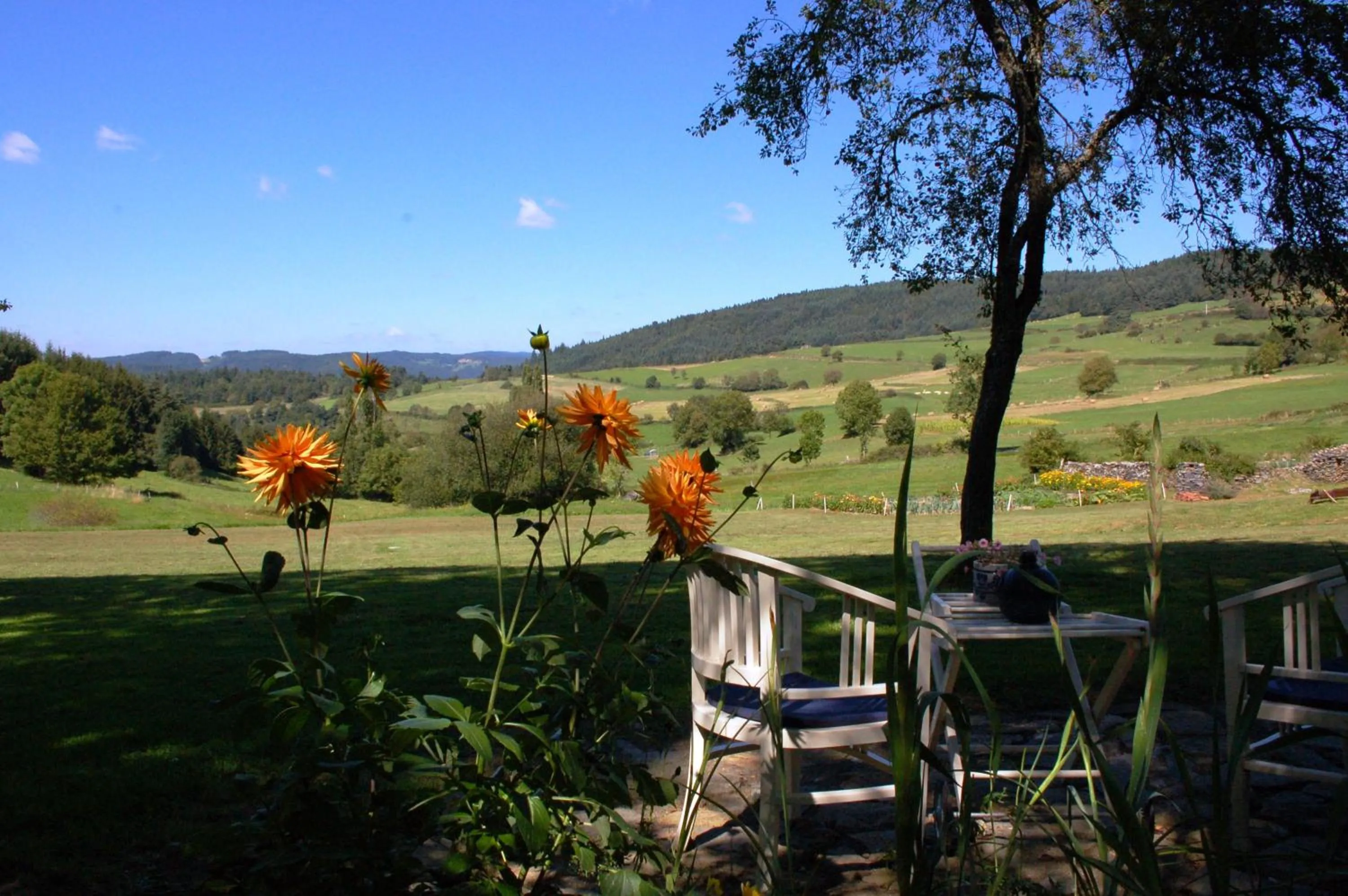 View (from property/room) in Le Grand Trianon