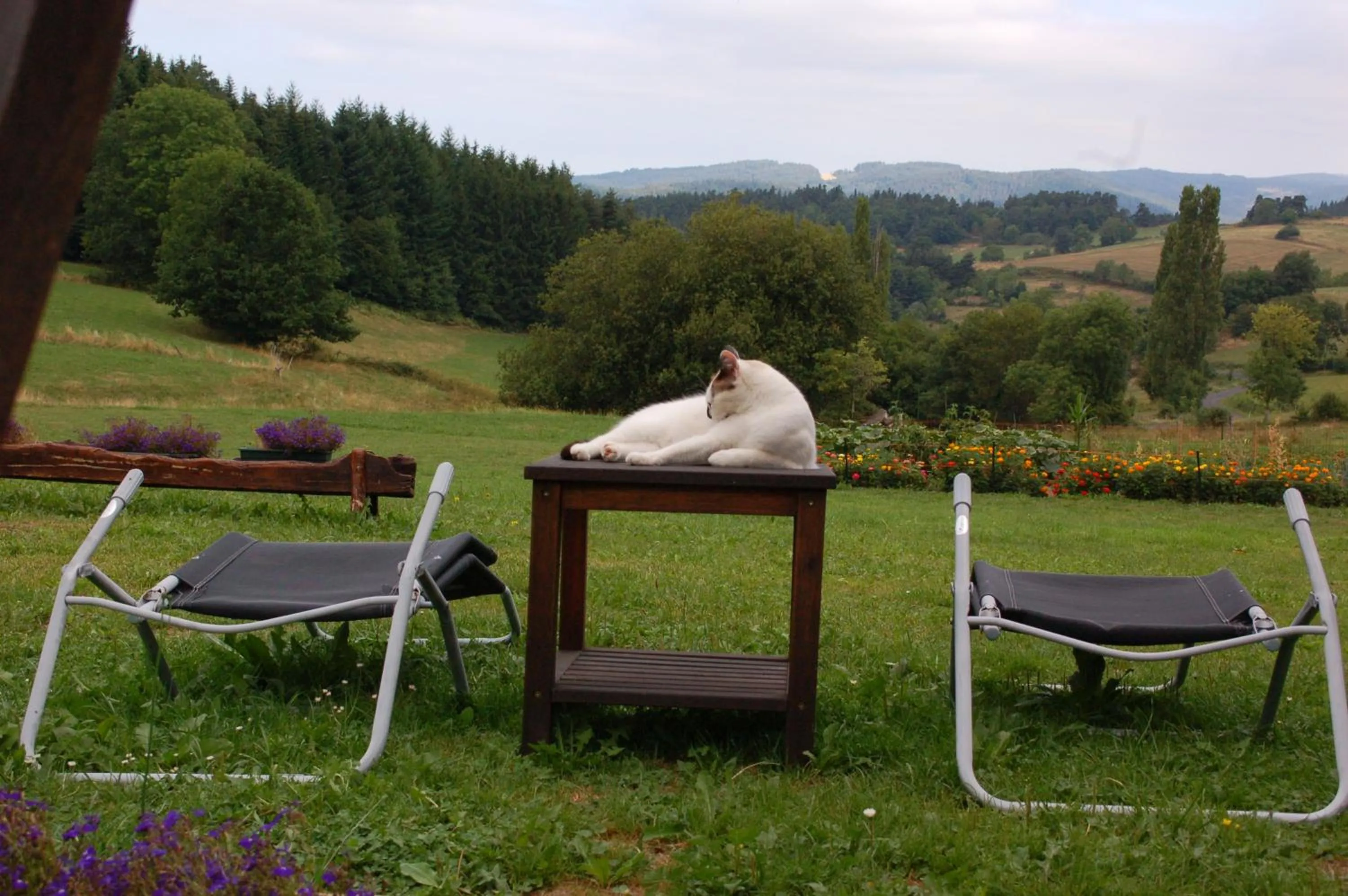 View (from property/room) in Le Grand Trianon