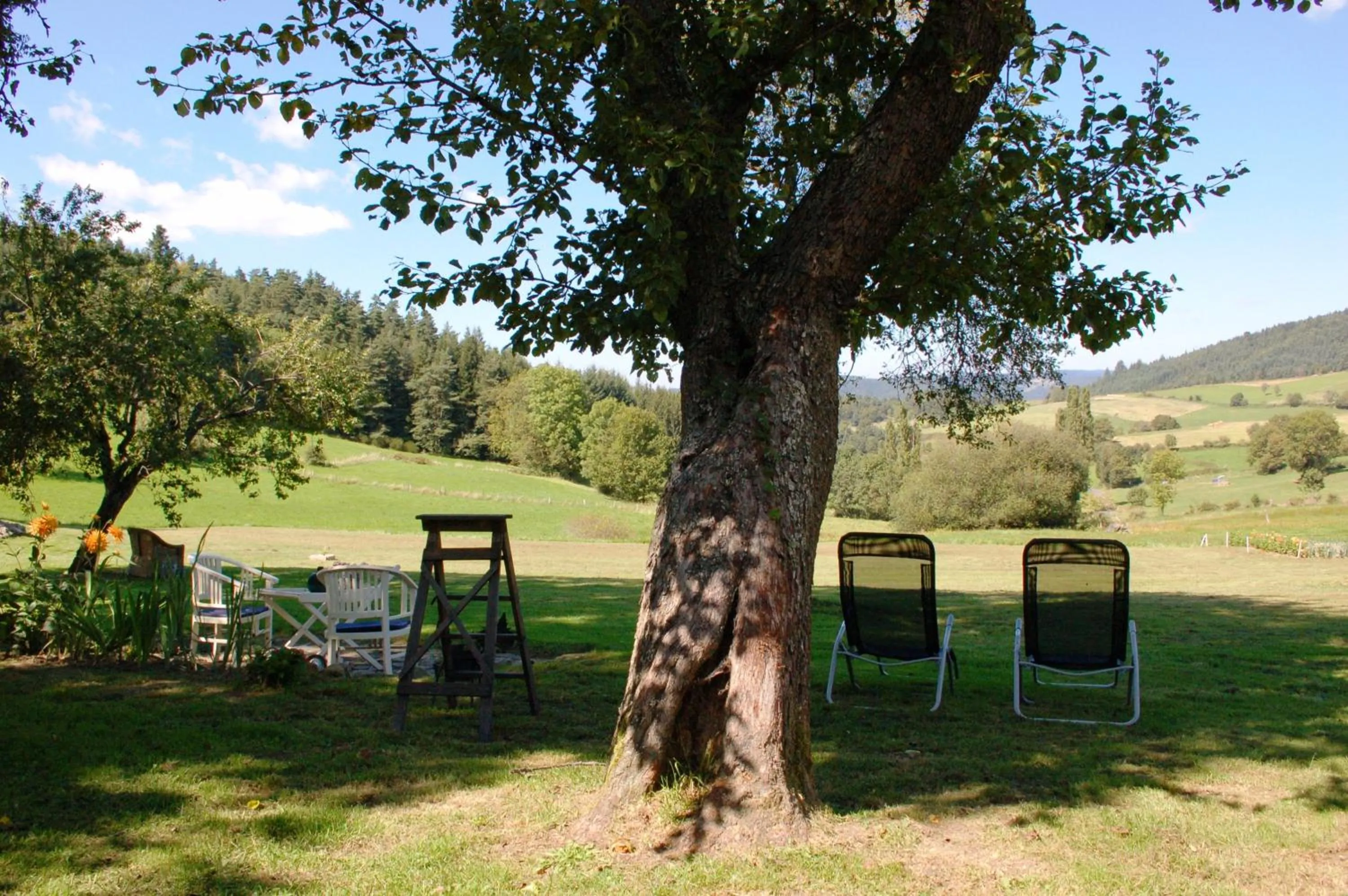 Garden in Le Grand Trianon