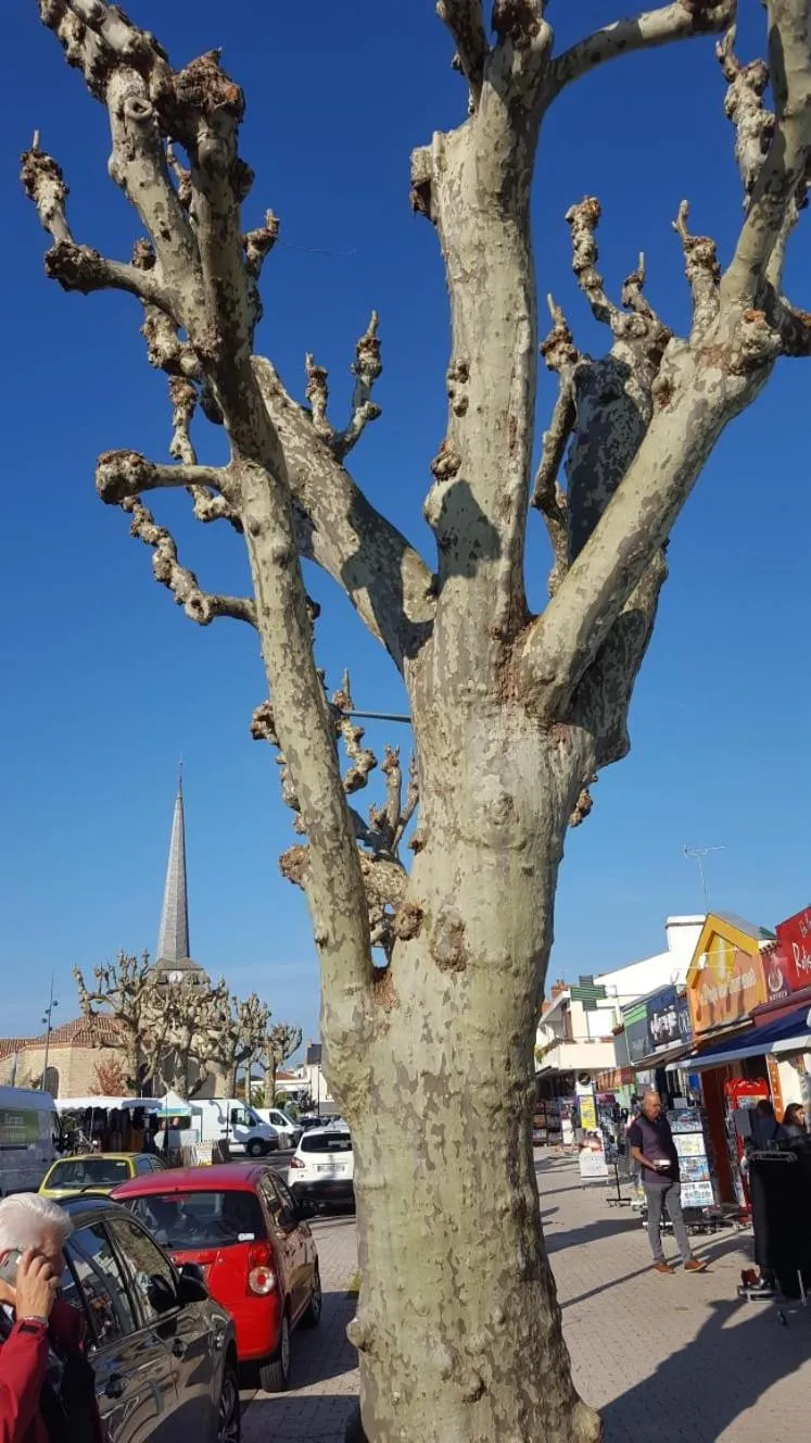 Shopping Area in Auberge BonBeauJoli