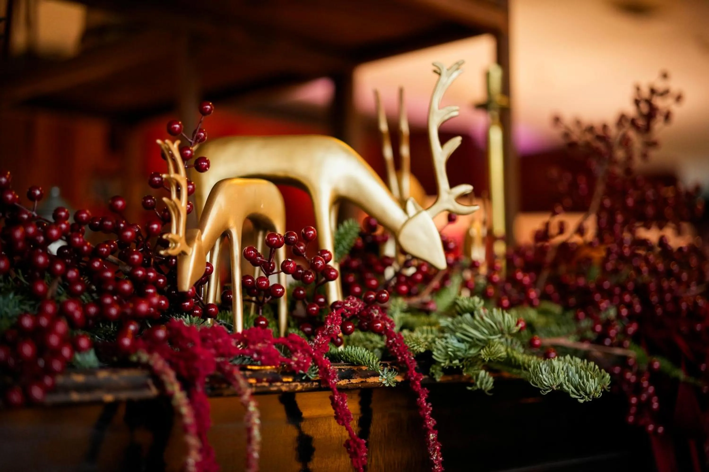 Restaurant/places to eat in Hotel Sliško