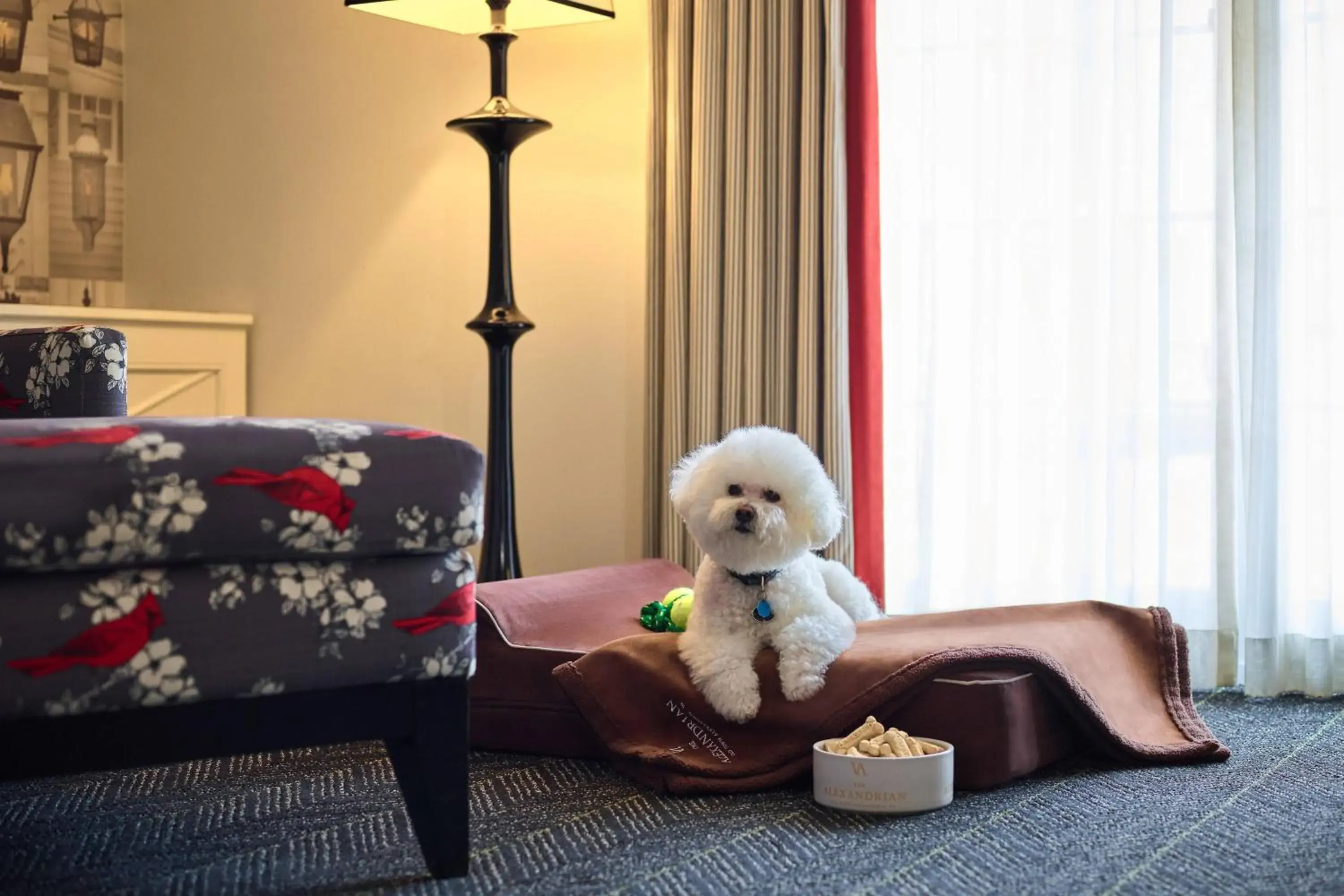 Alexandrian Room, 1 King Bed in The Alexandrian Old Town Alexandria, Autograph Collection Alexandrian Room, 1 King Bed in The Alexandrian Old Town Alexandria, Autograph Collection