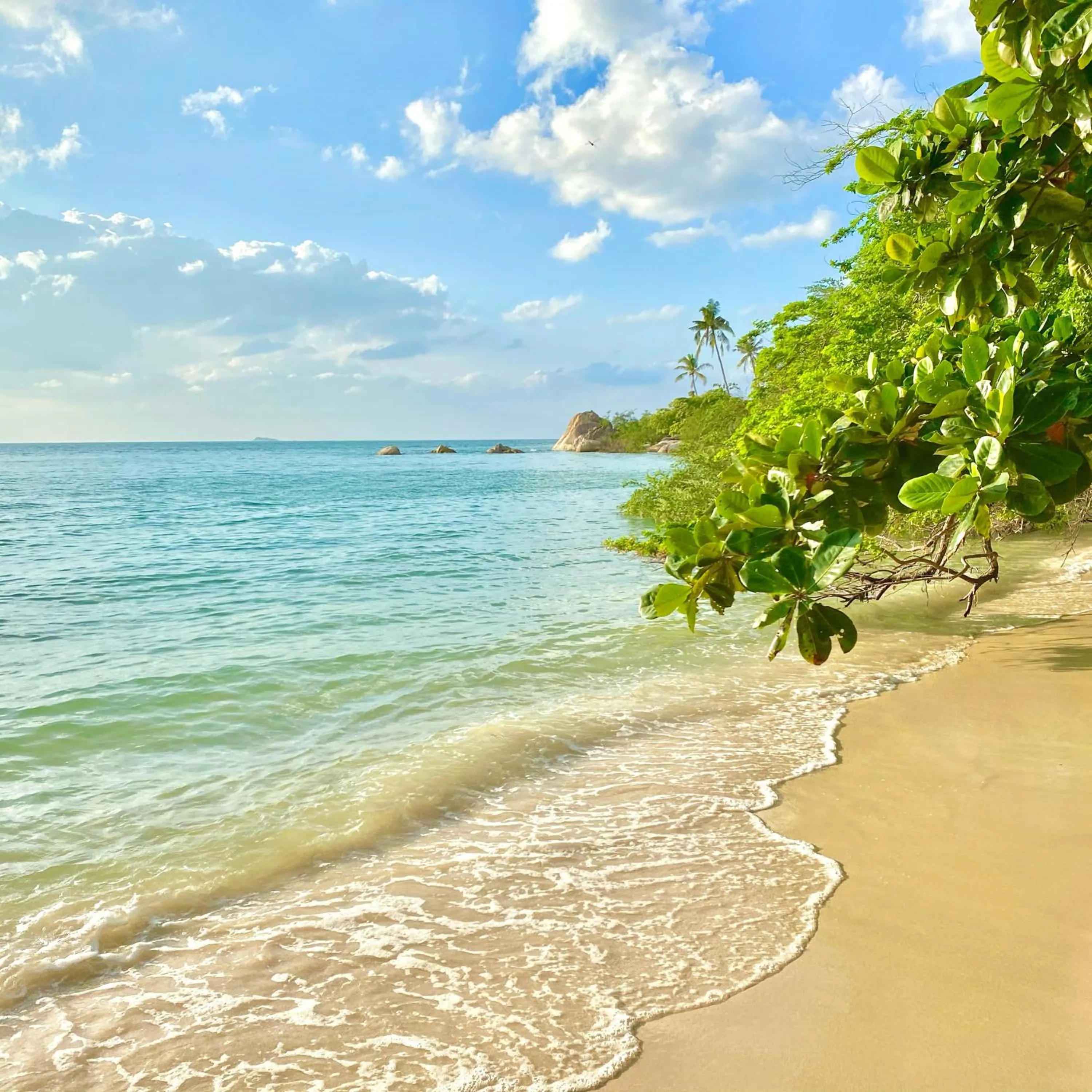 Natural landscape in Kalulushi Bungalows