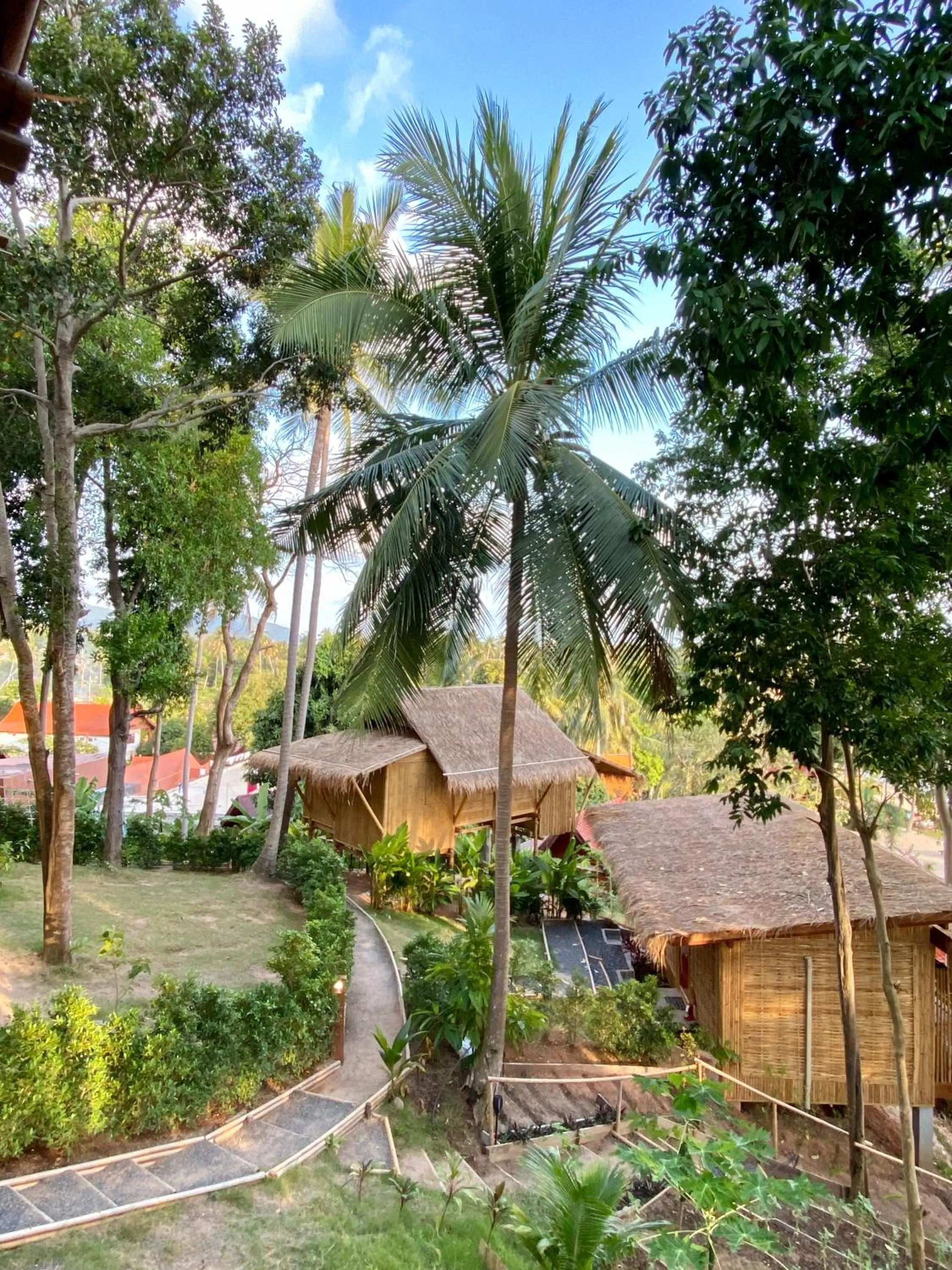 Garden in Kalulushi Bungalows