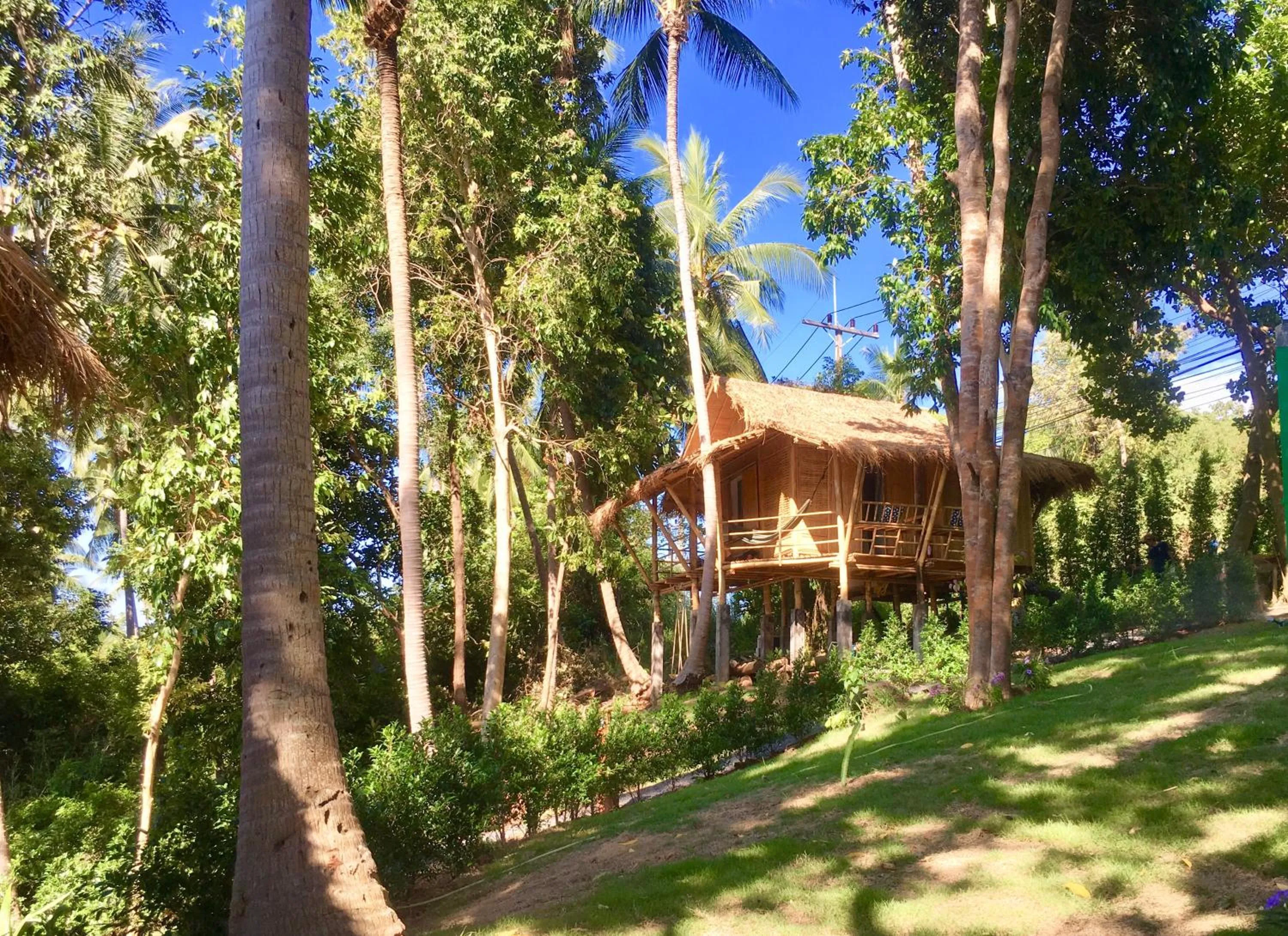 Garden in Kalulushi Bungalows