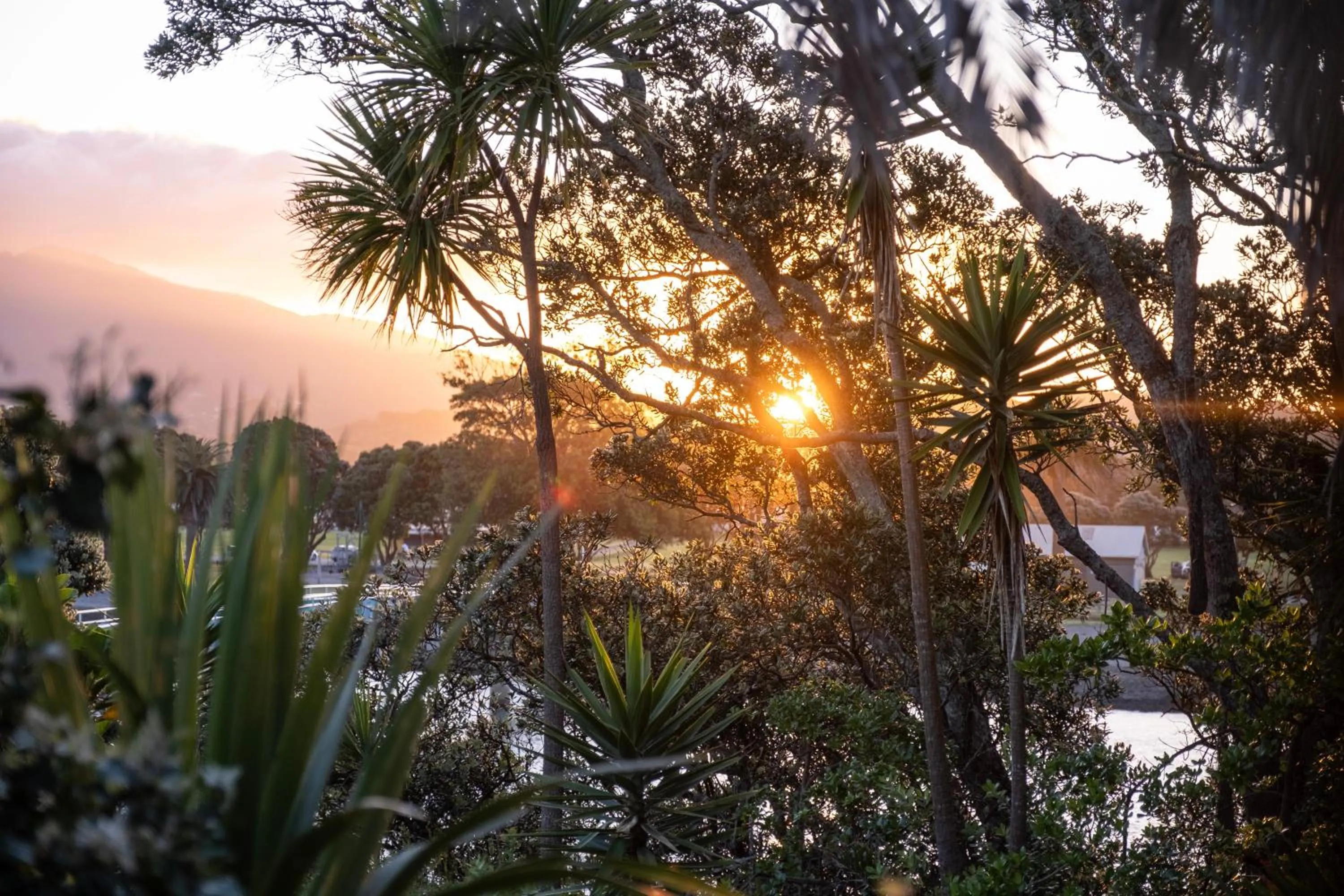 Bow Street Apartments & Cottage