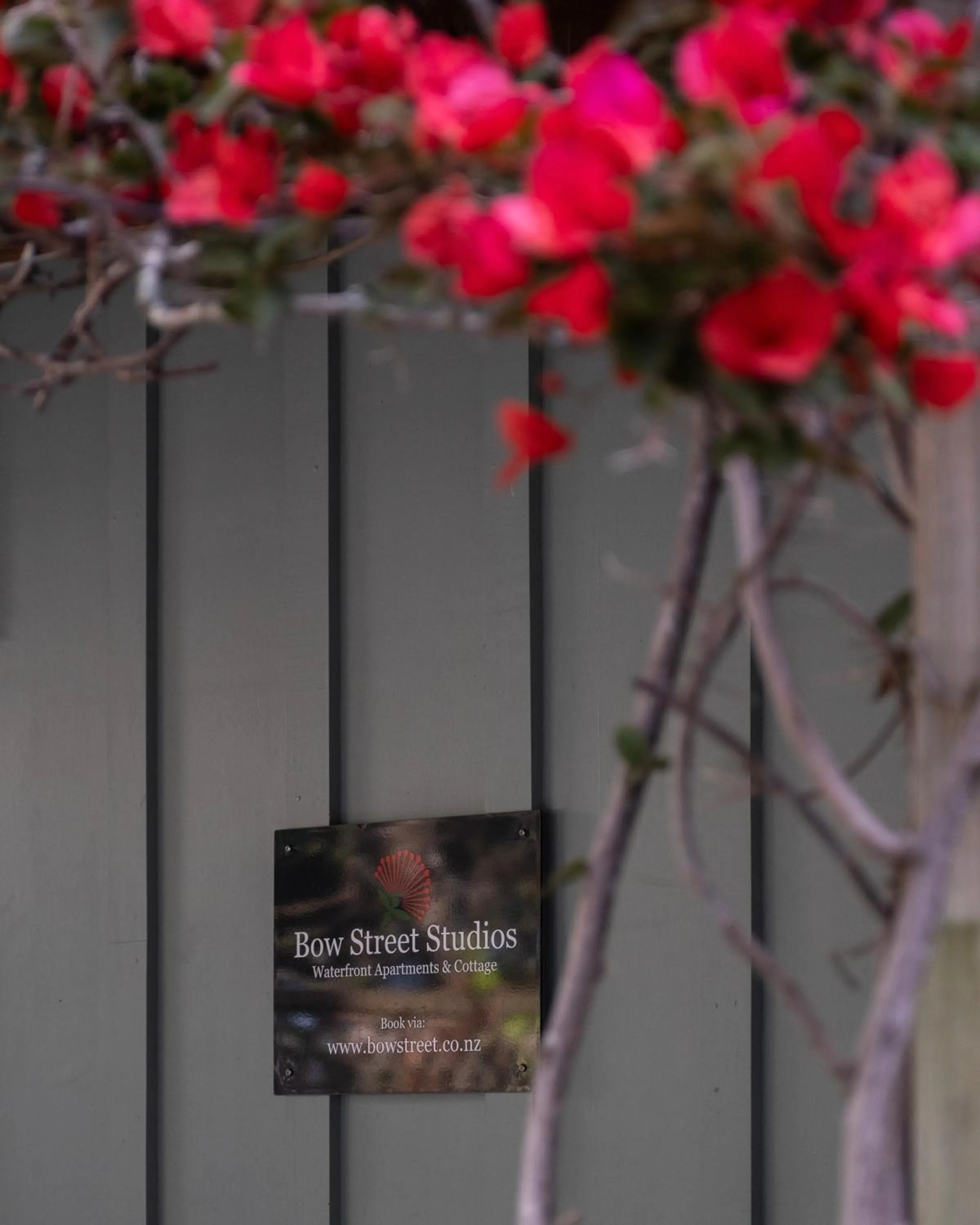 Bow Street Apartments & Cottage