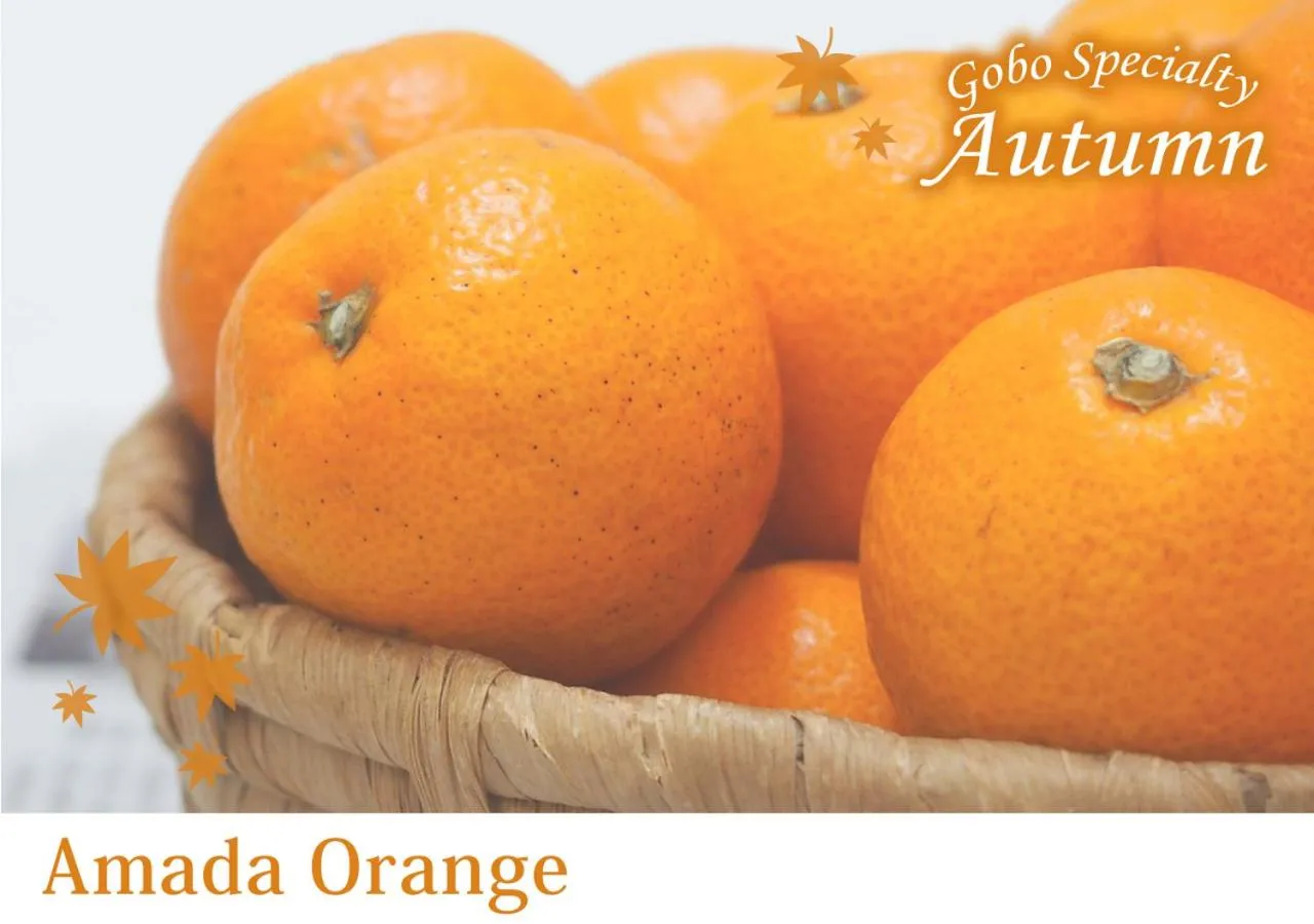 Nearby landmark in Forest Inn Gobo