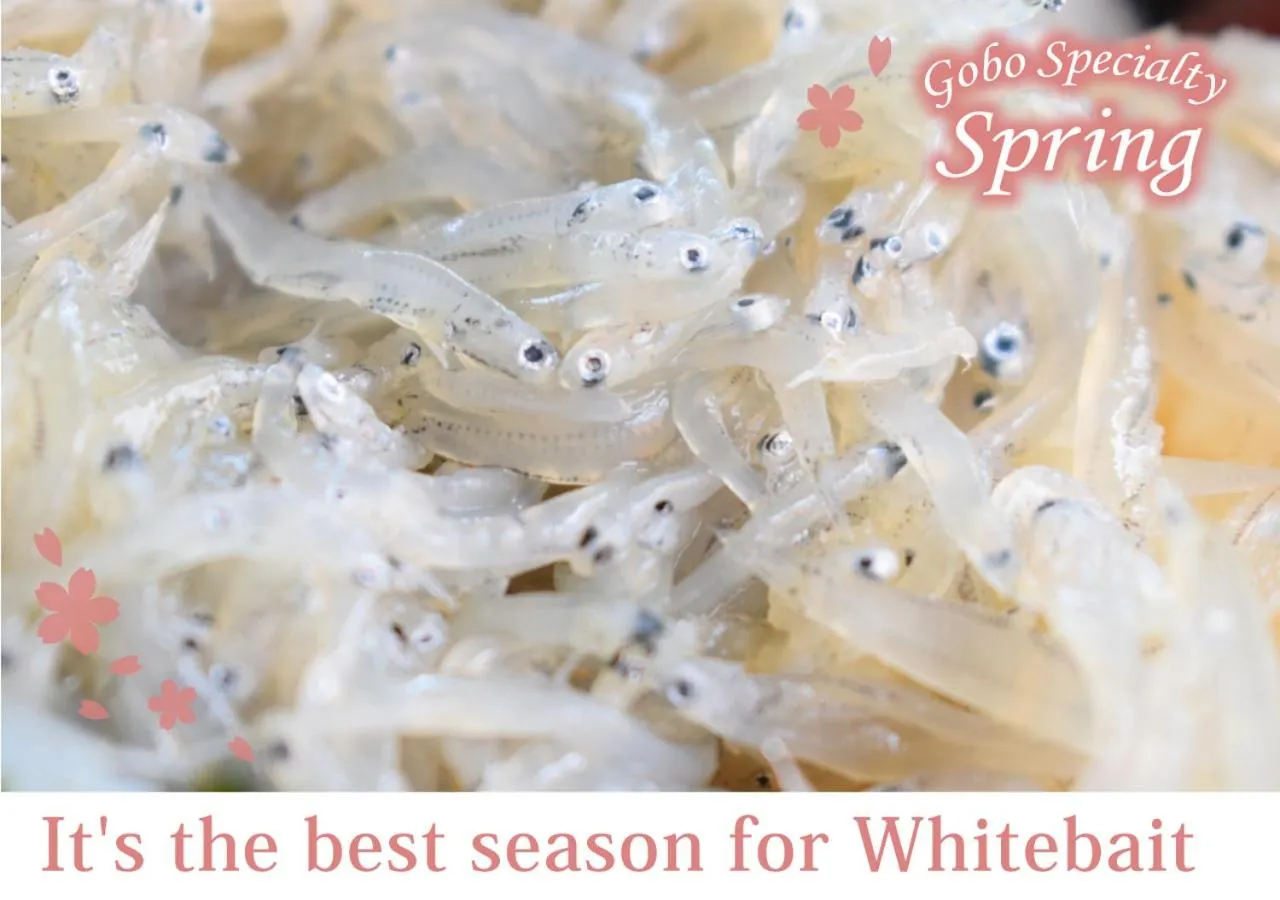 Nearby landmark in Forest Inn Gobo