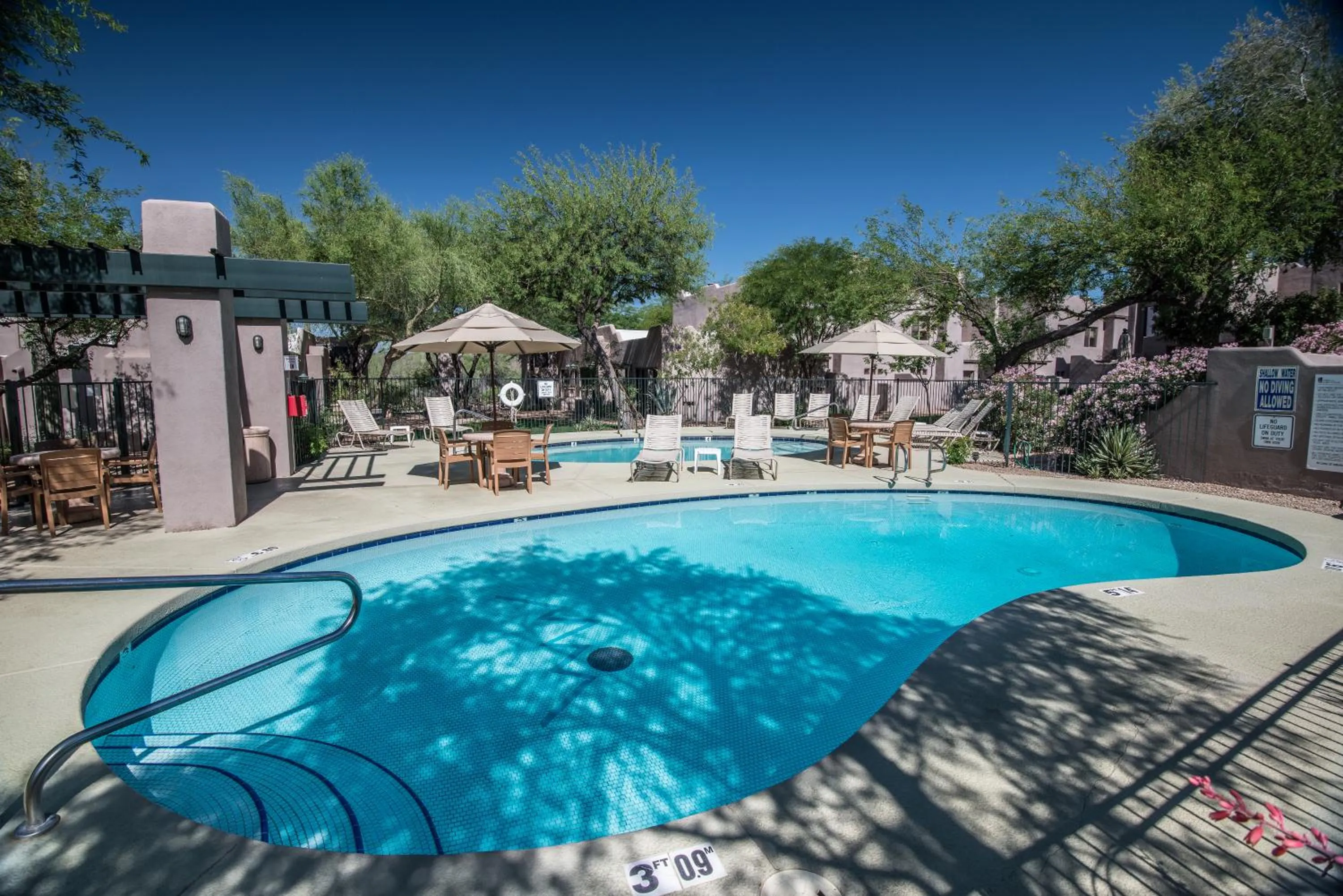 Swimming pool in Villas of Cave Creek