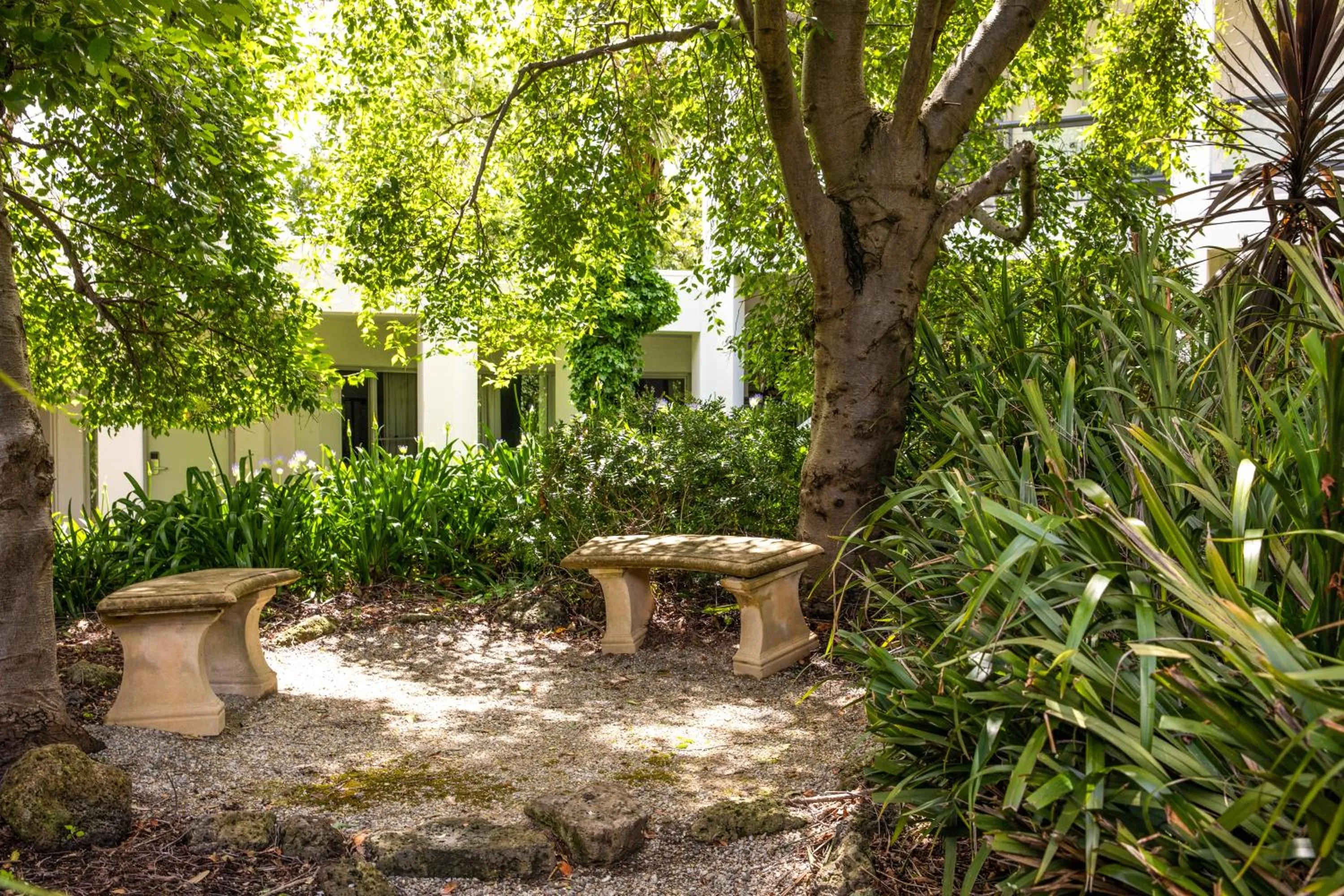 Garden in Nightelier Doncaster