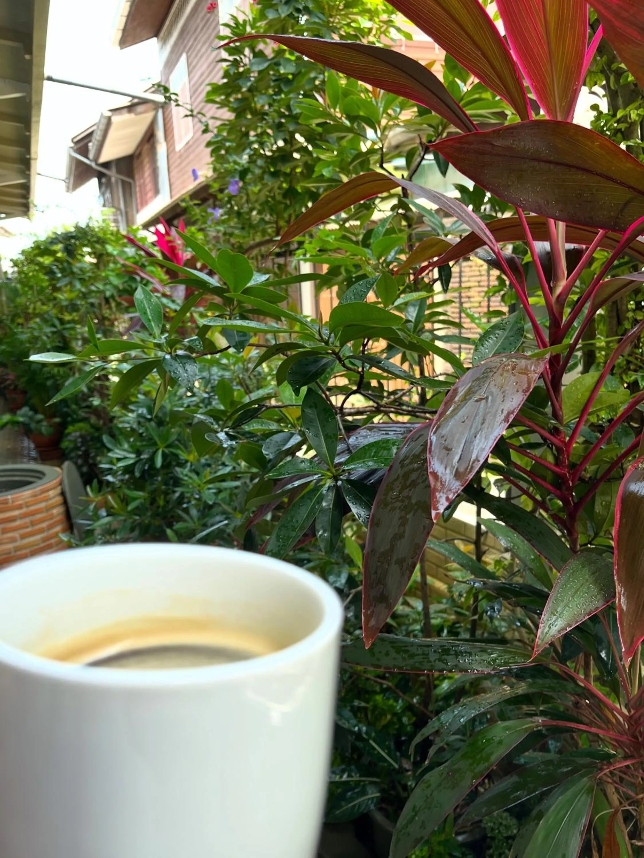 Rimklong boutique hotel trad