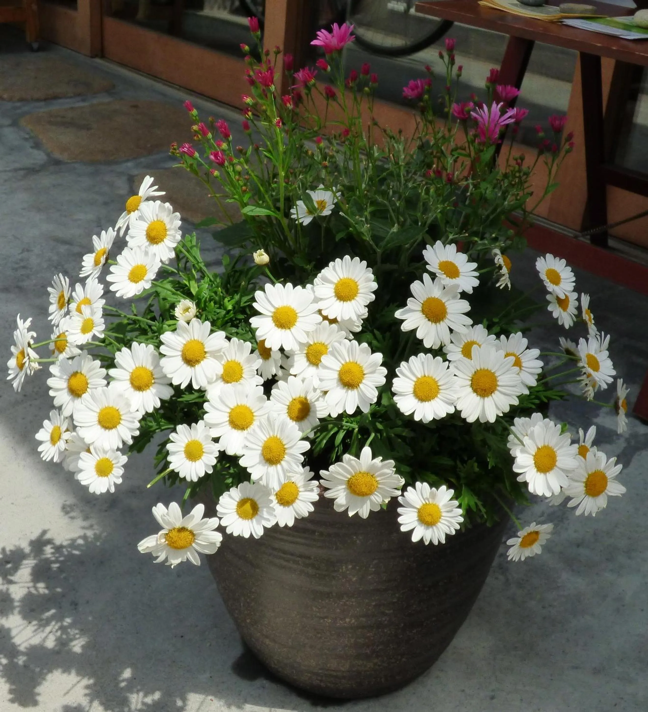 Facade/entrance in Guesthouse Hyakumanben Cross