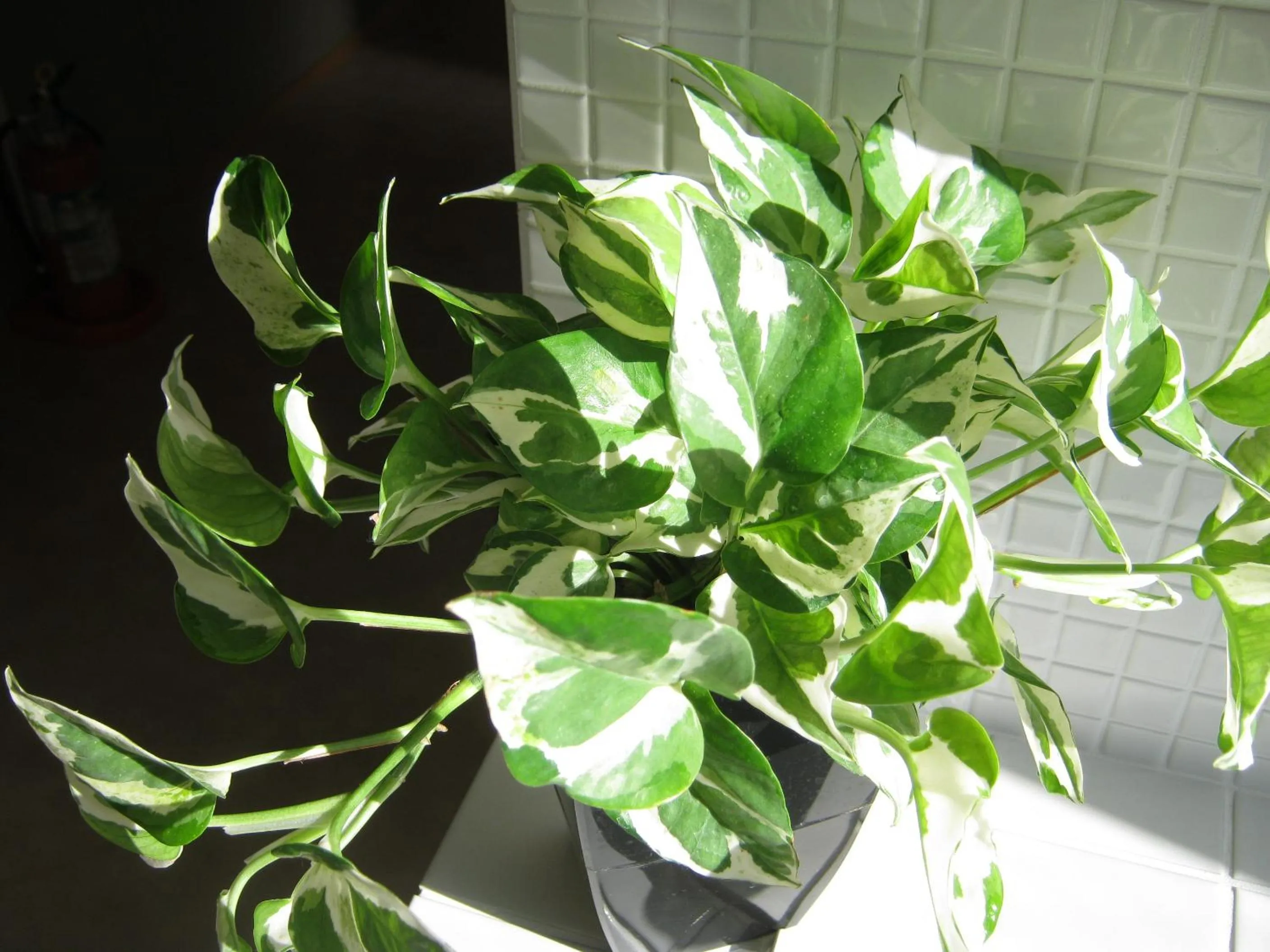 Other in Guesthouse Hyakumanben Cross