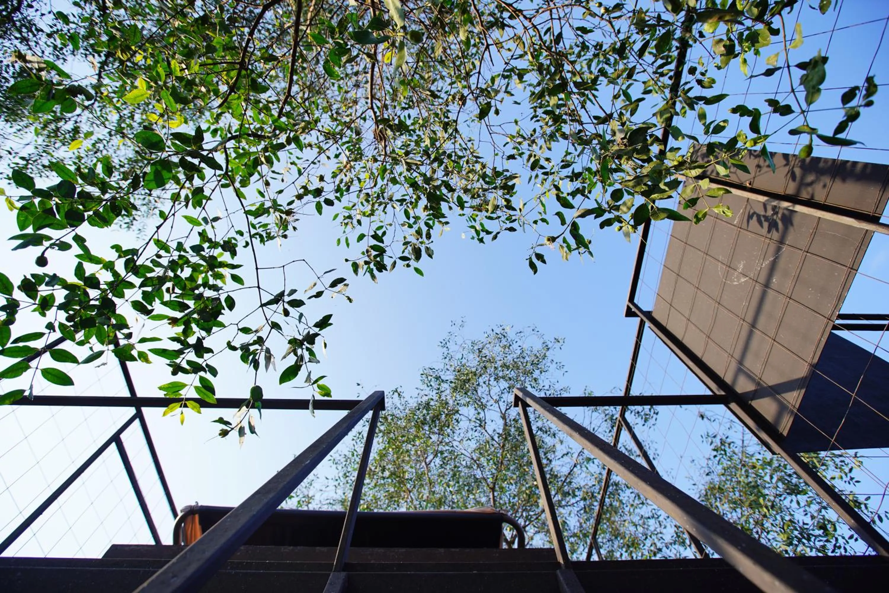 Other in Bangkok Tree House Bang Kachao