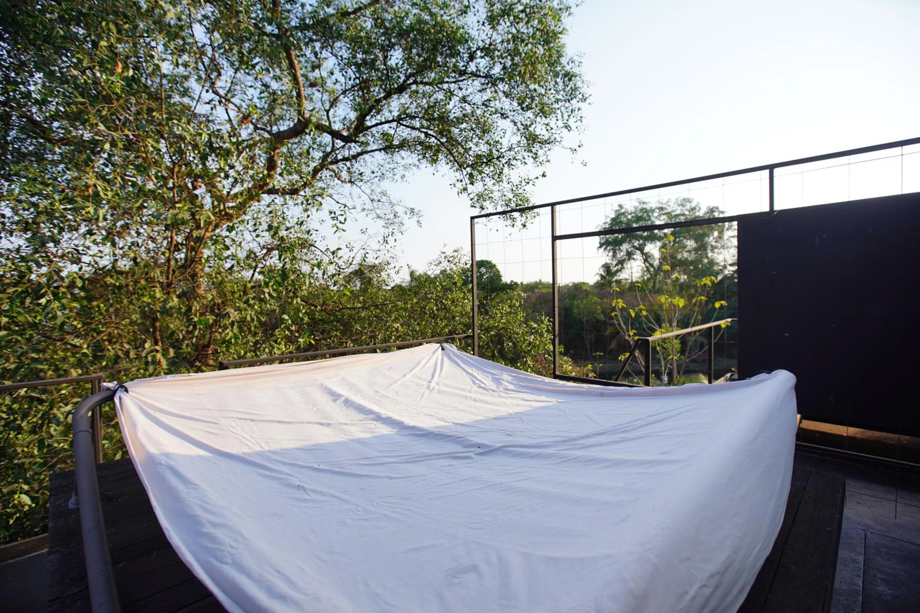 Activities in Bangkok Tree House Bang Kachao