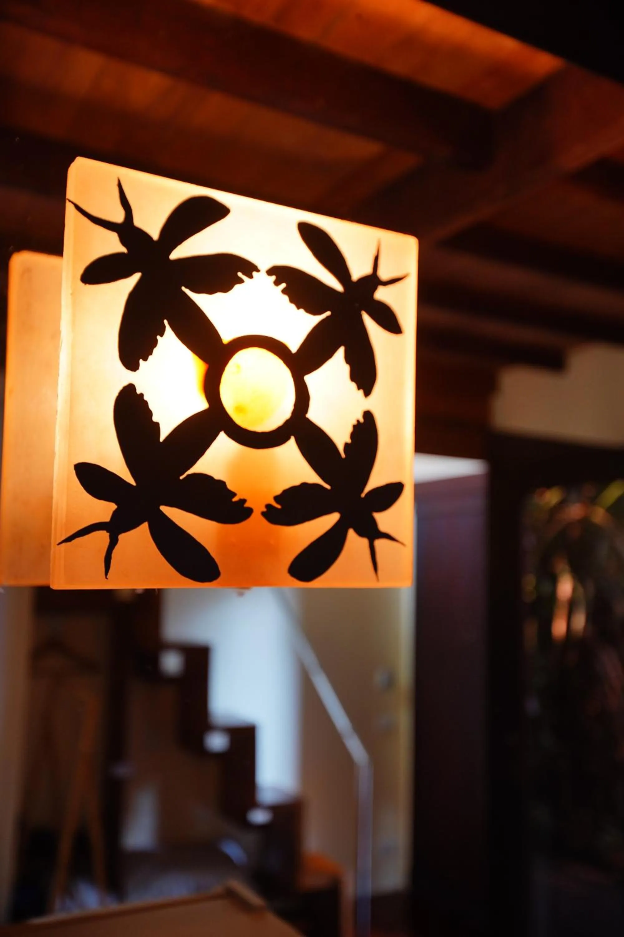 Other in Bangkok Tree House Bang Kachao