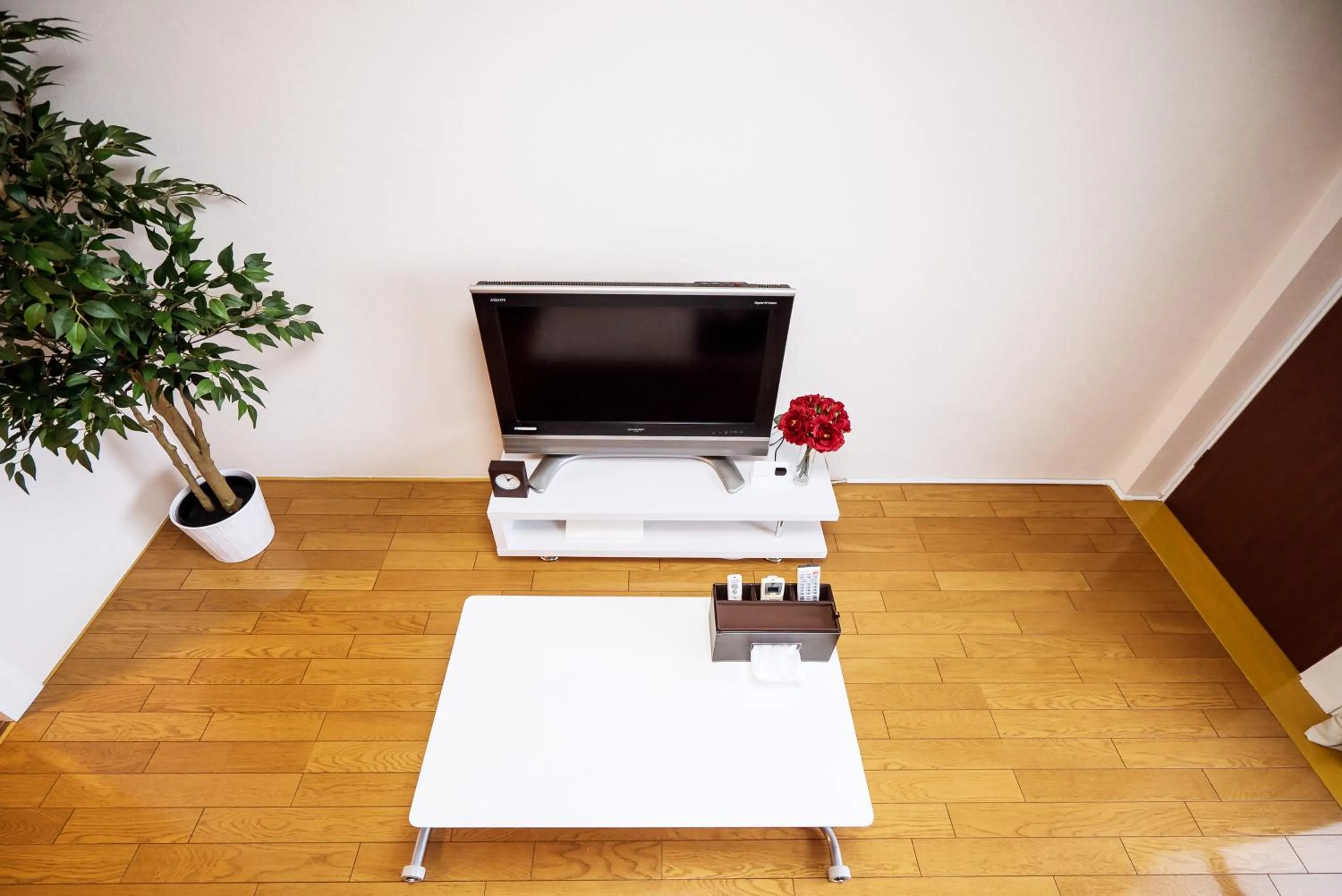 TV and multimedia in Murata Corpo 305