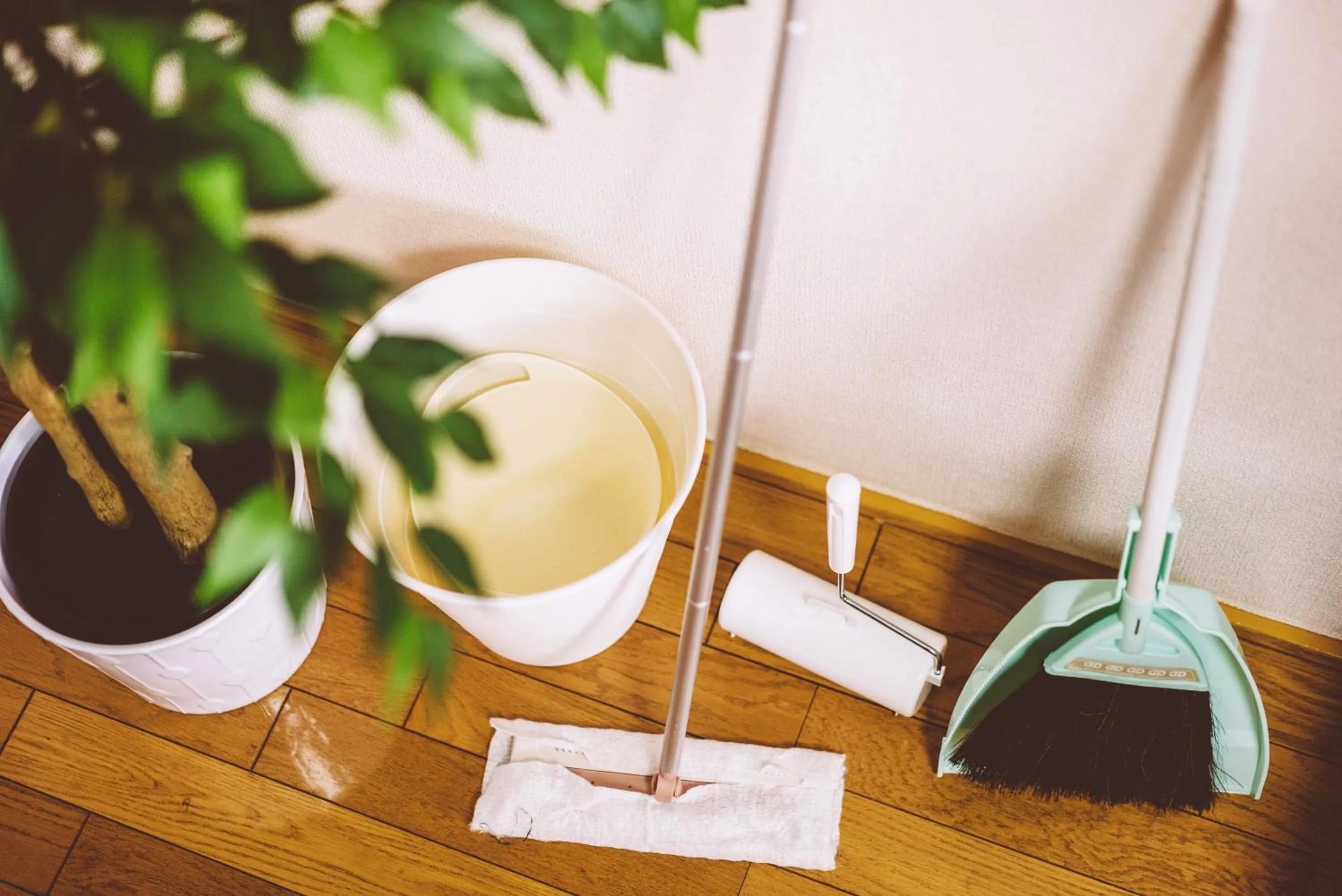 Photo of the whole room in Murata Corpo 305